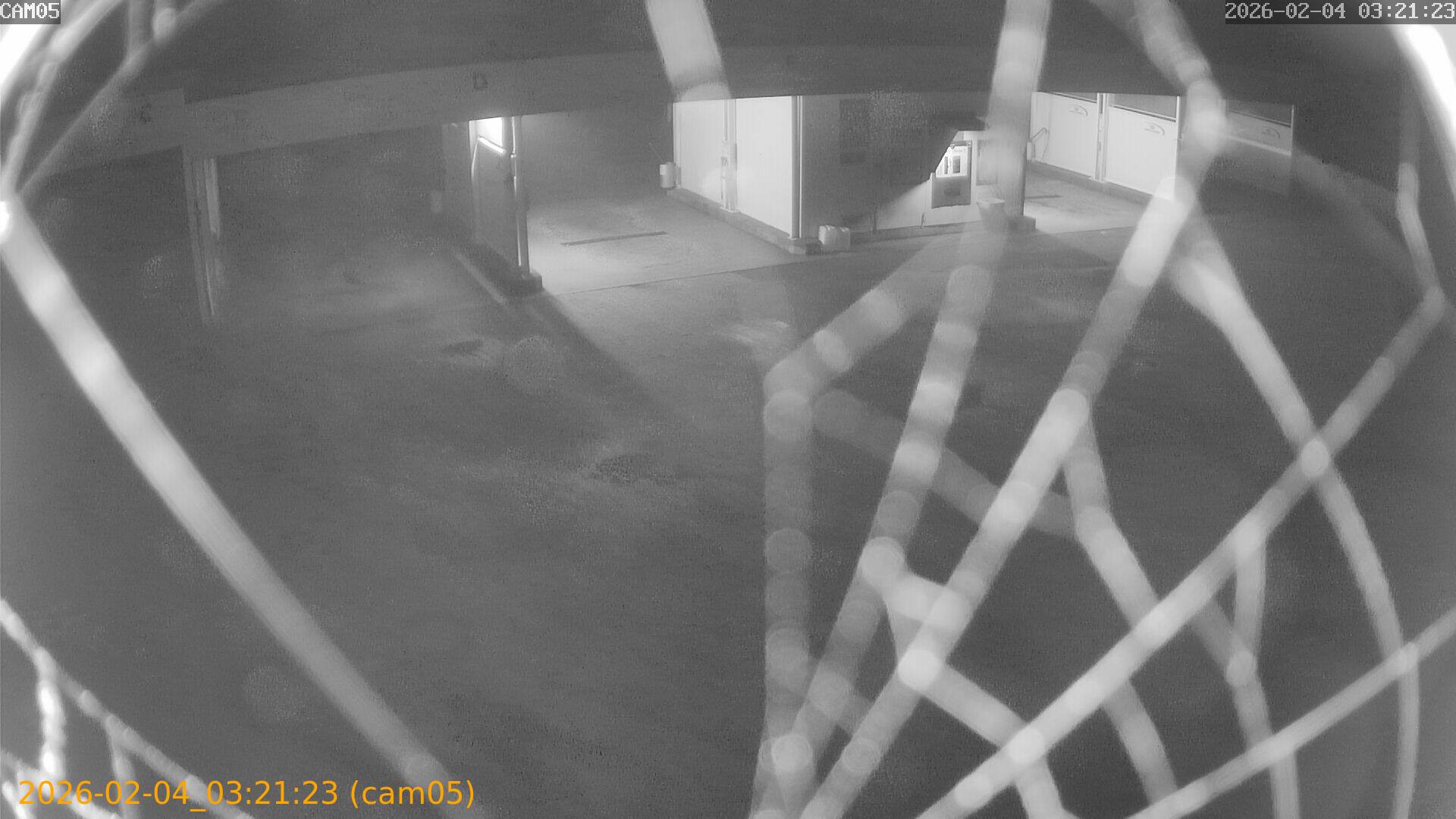 thumbnail_20260204032123