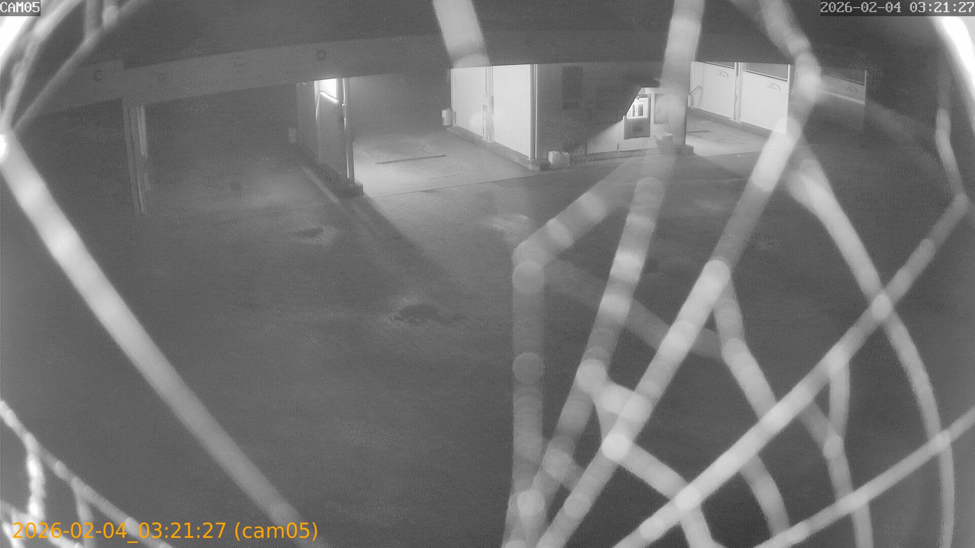 thumbnail_20260204032127