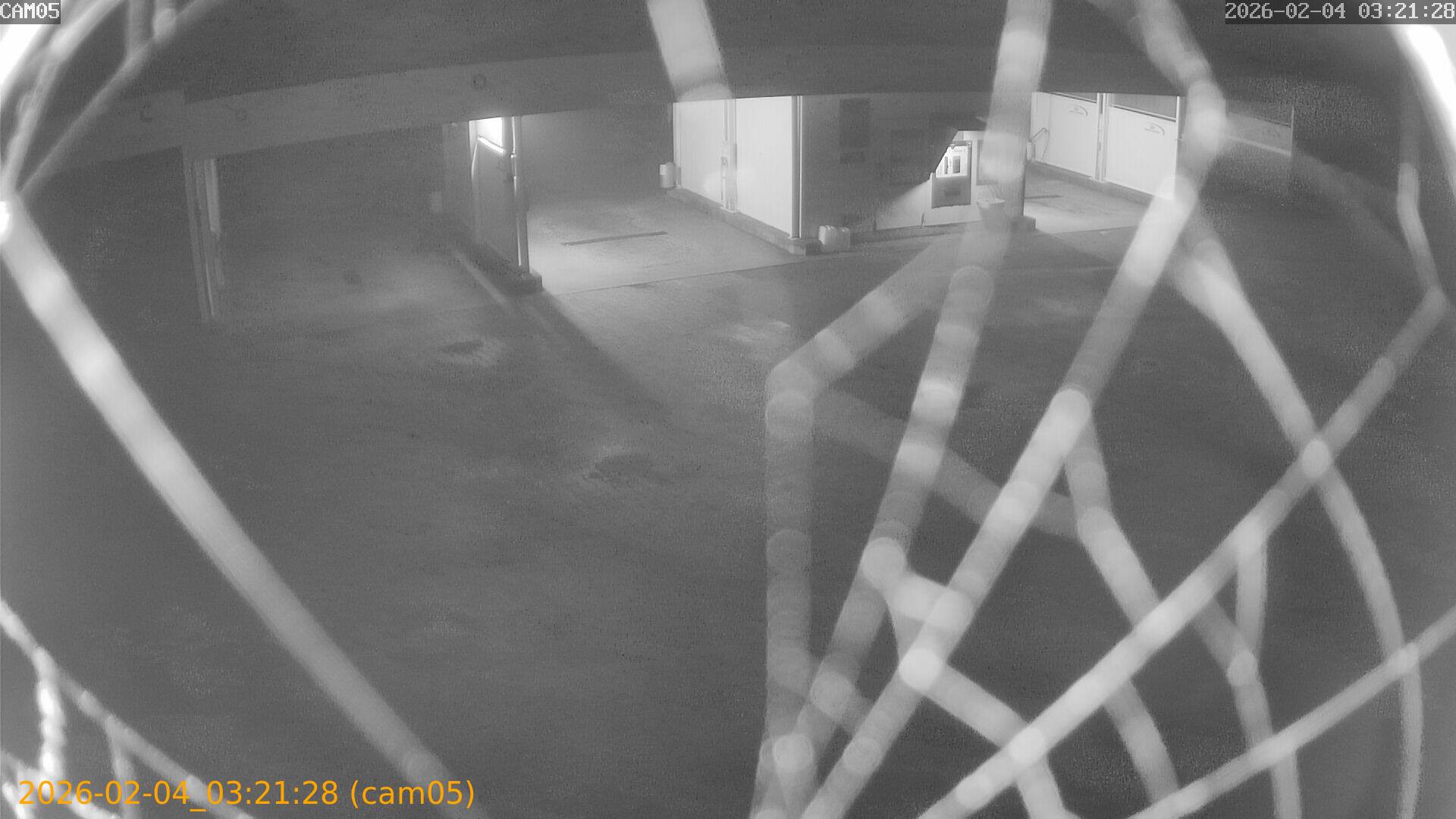 thumbnail_20260204032128