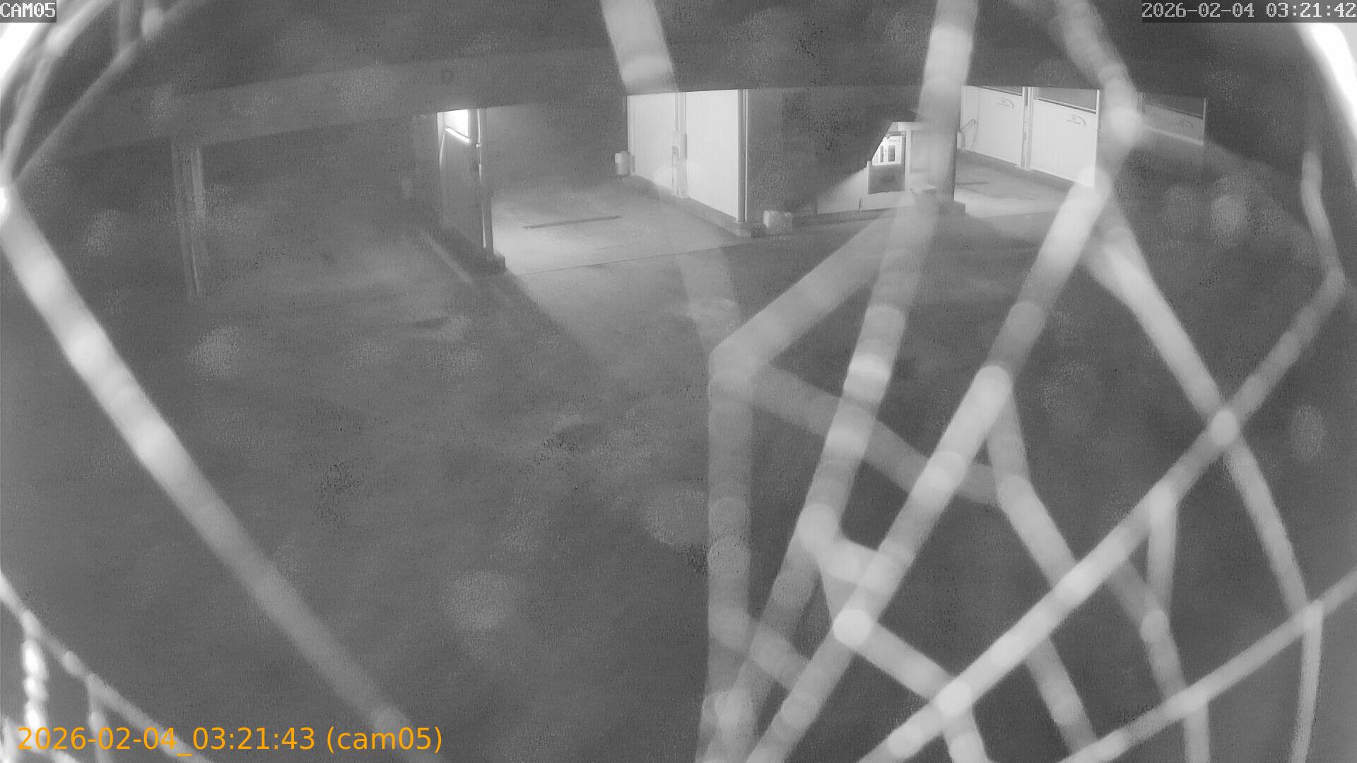 thumbnail_20260204032143