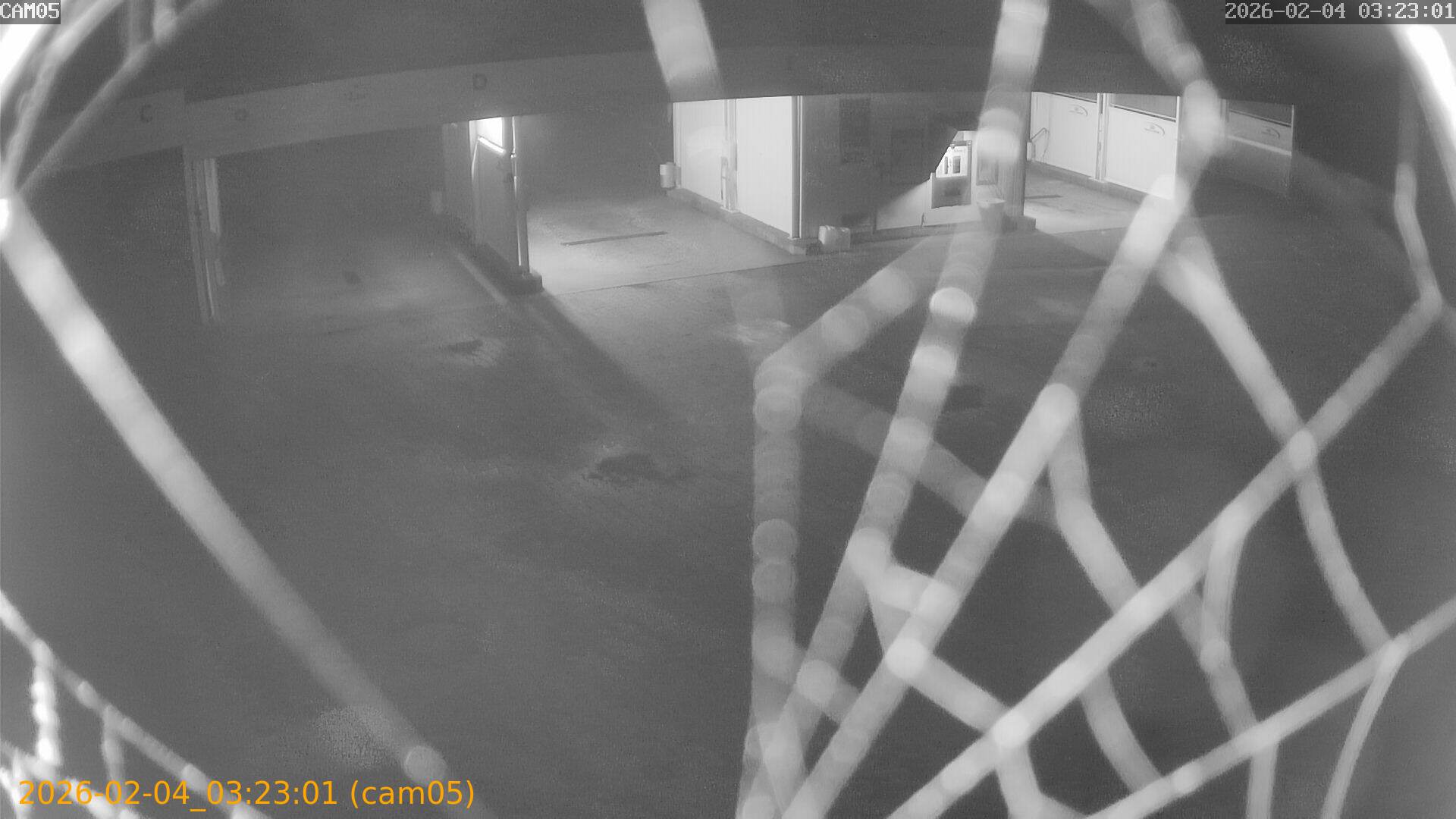 thumbnail_20260204032301