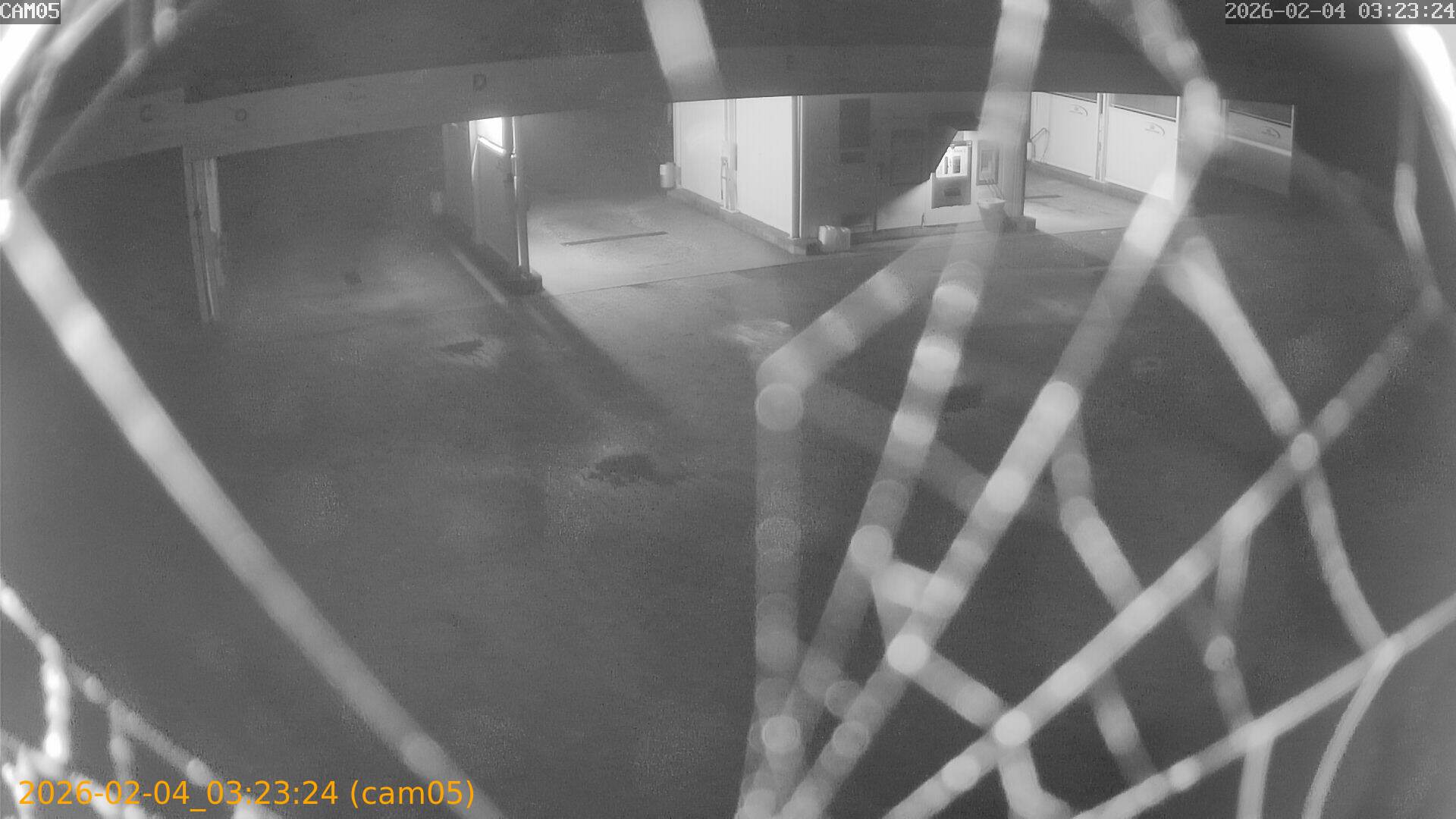 thumbnail_20260204032324