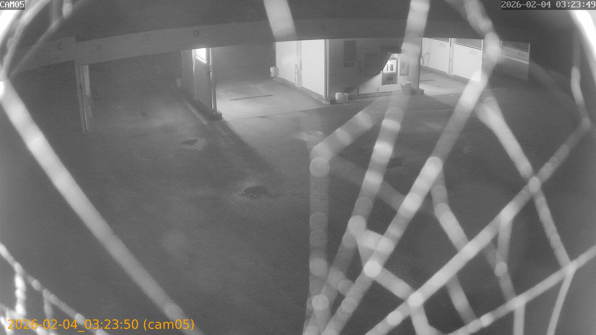 thumbnail_20260204032349