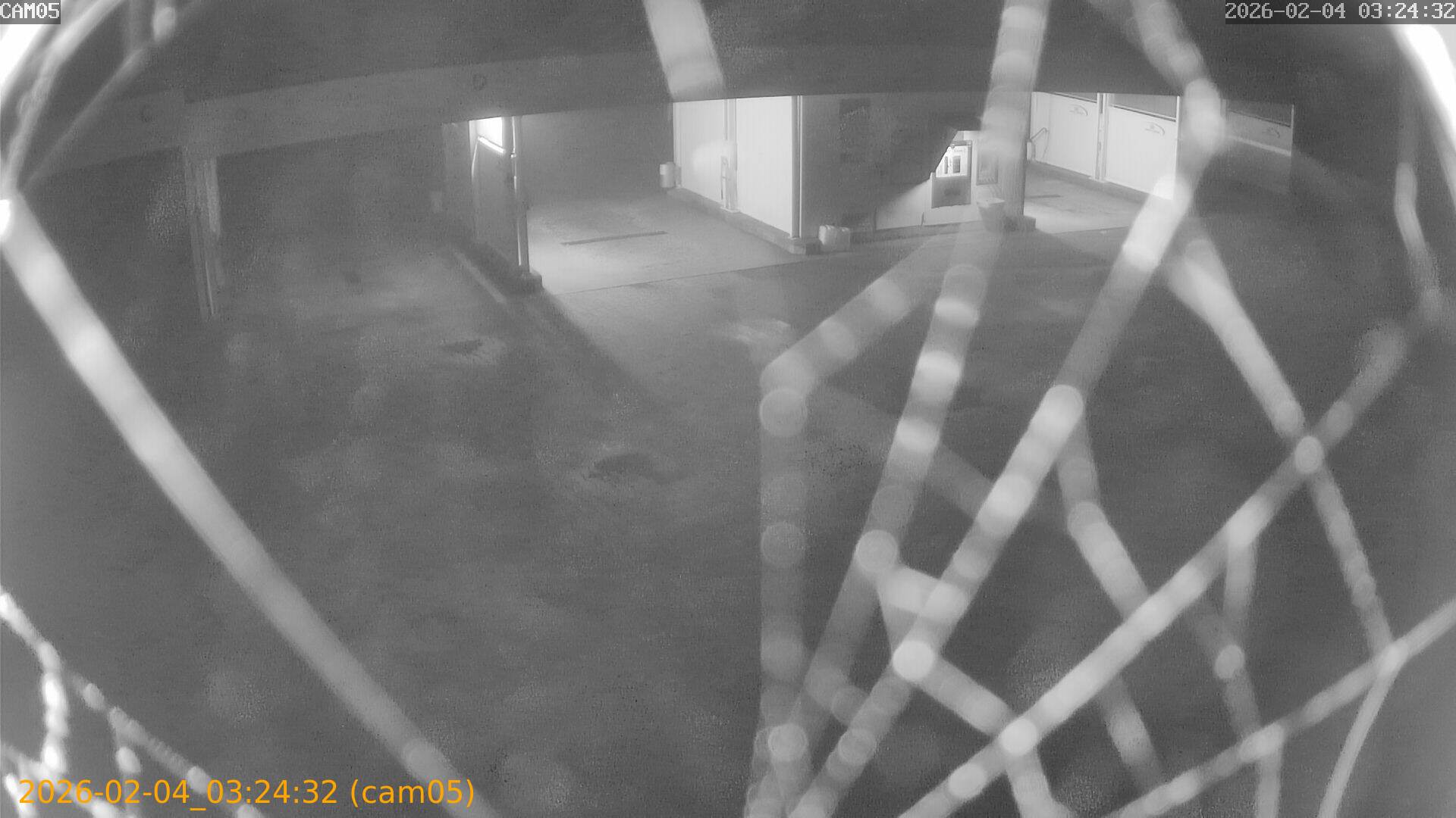 thumbnail_20260204032432