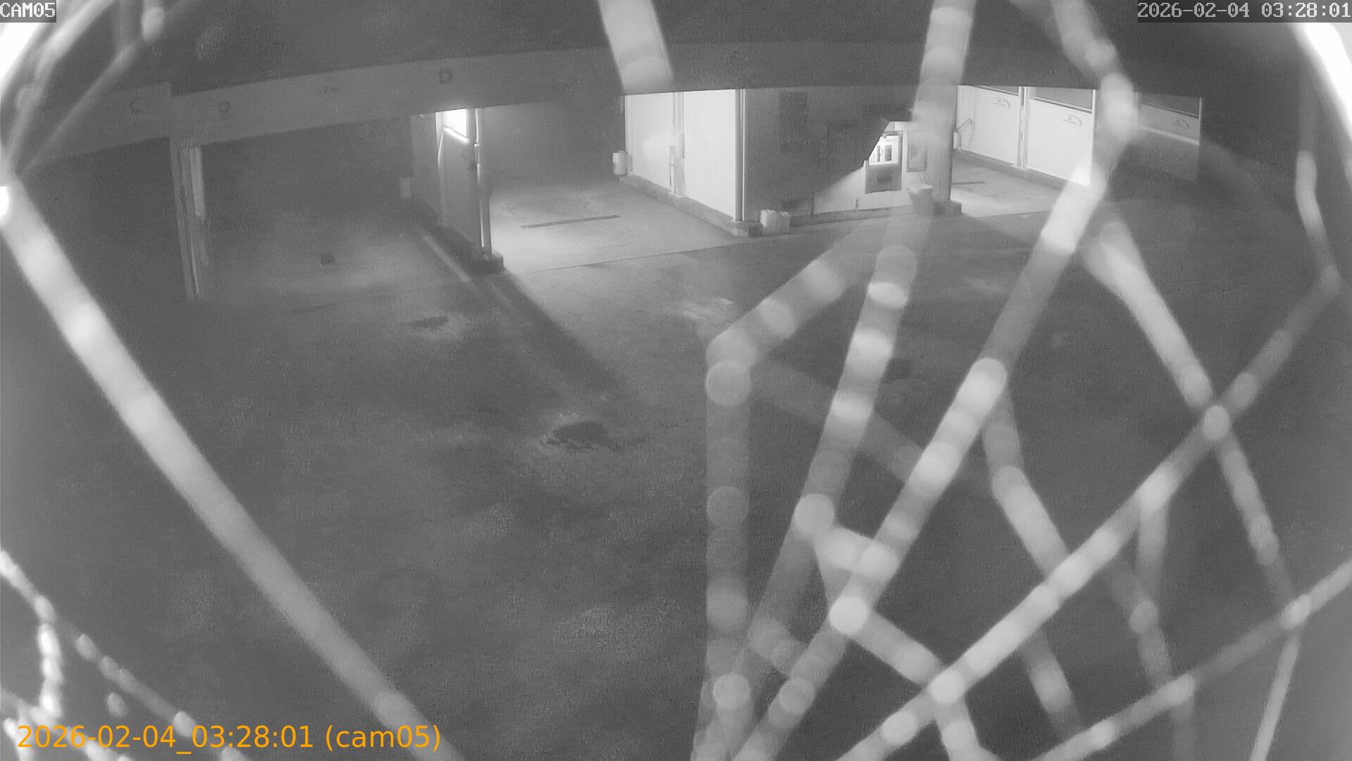 thumbnail_20260204032801