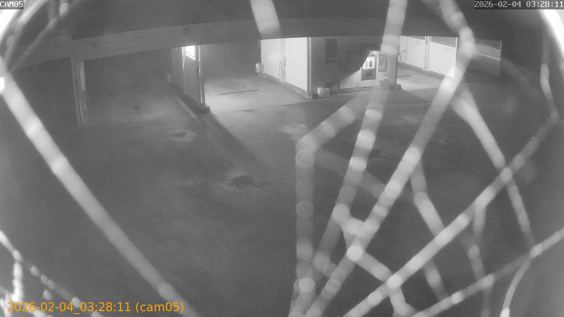 thumbnail_20260204032811