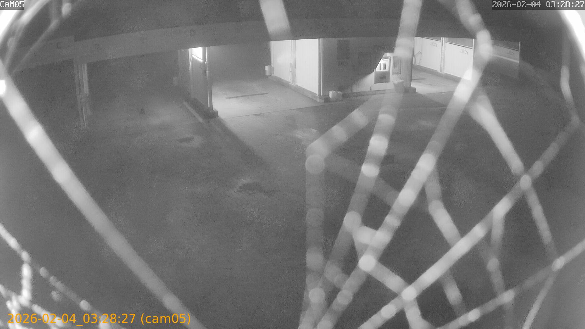 thumbnail_20260204032827