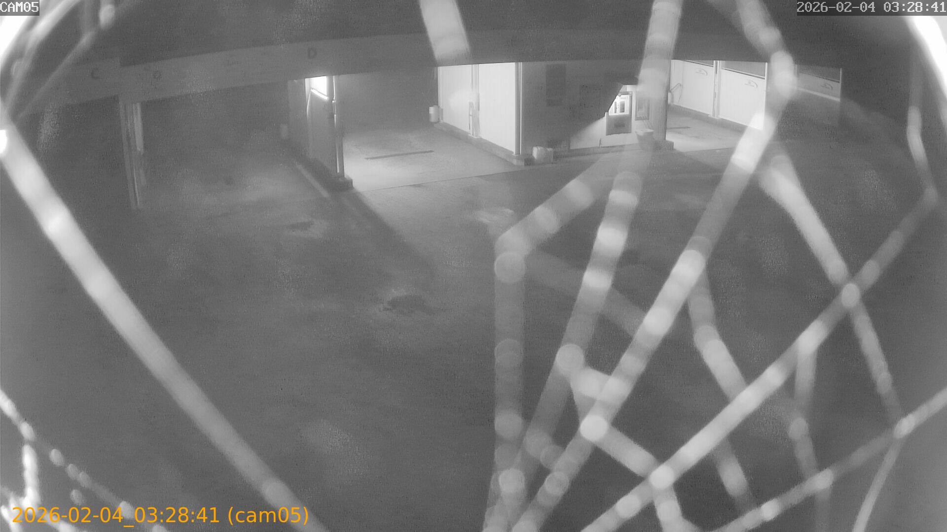 thumbnail_20260204032841