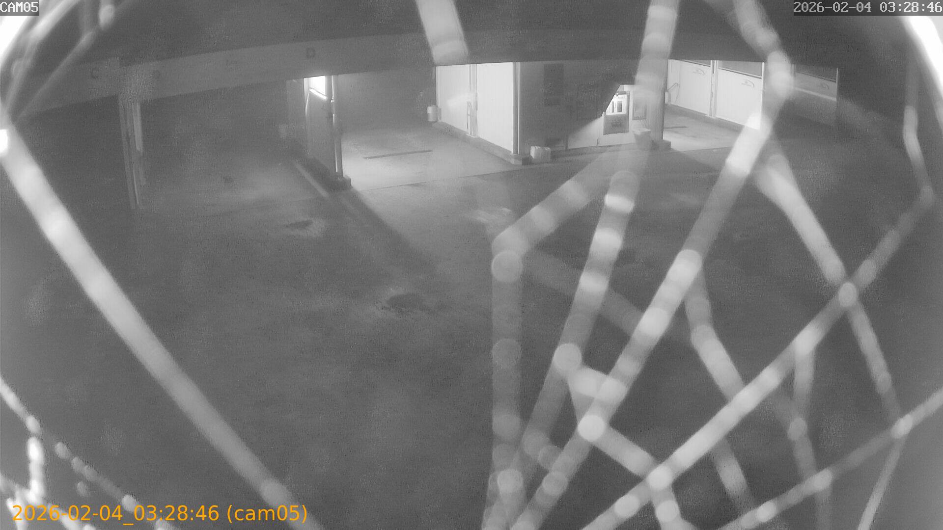 thumbnail_20260204032846