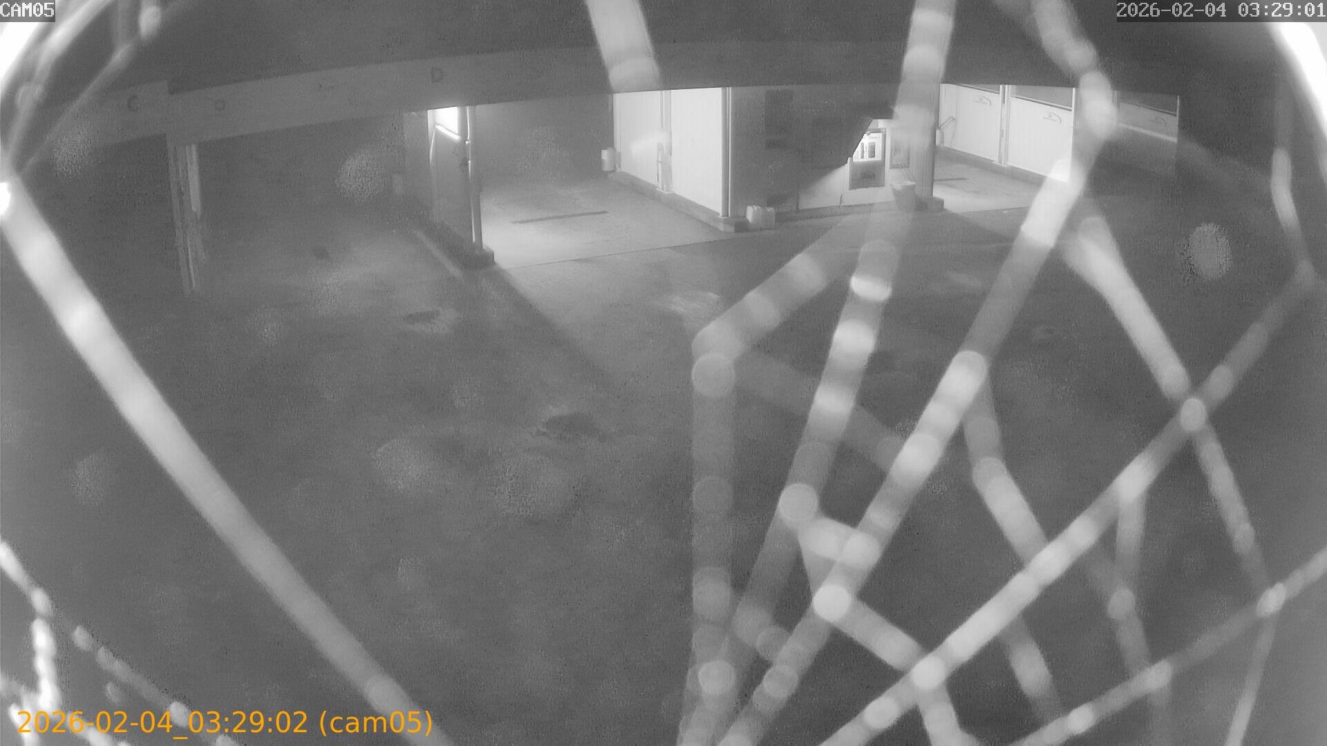 thumbnail_20260204032902