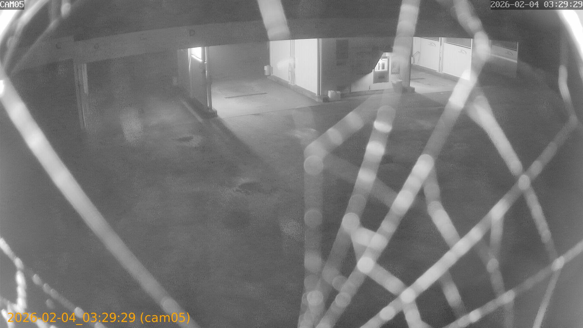 thumbnail_20260204032929