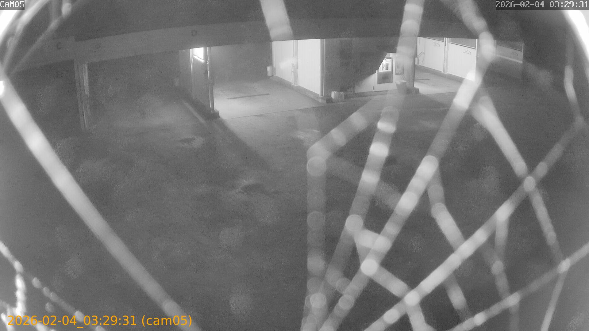 thumbnail_20260204032931