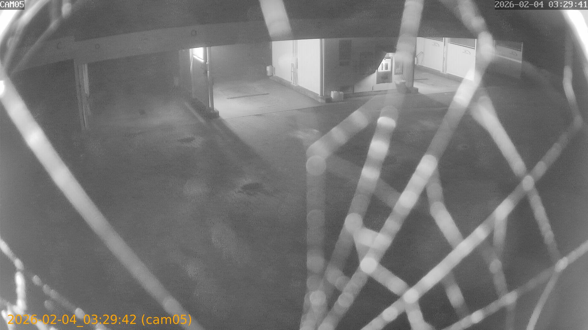 thumbnail_20260204032942