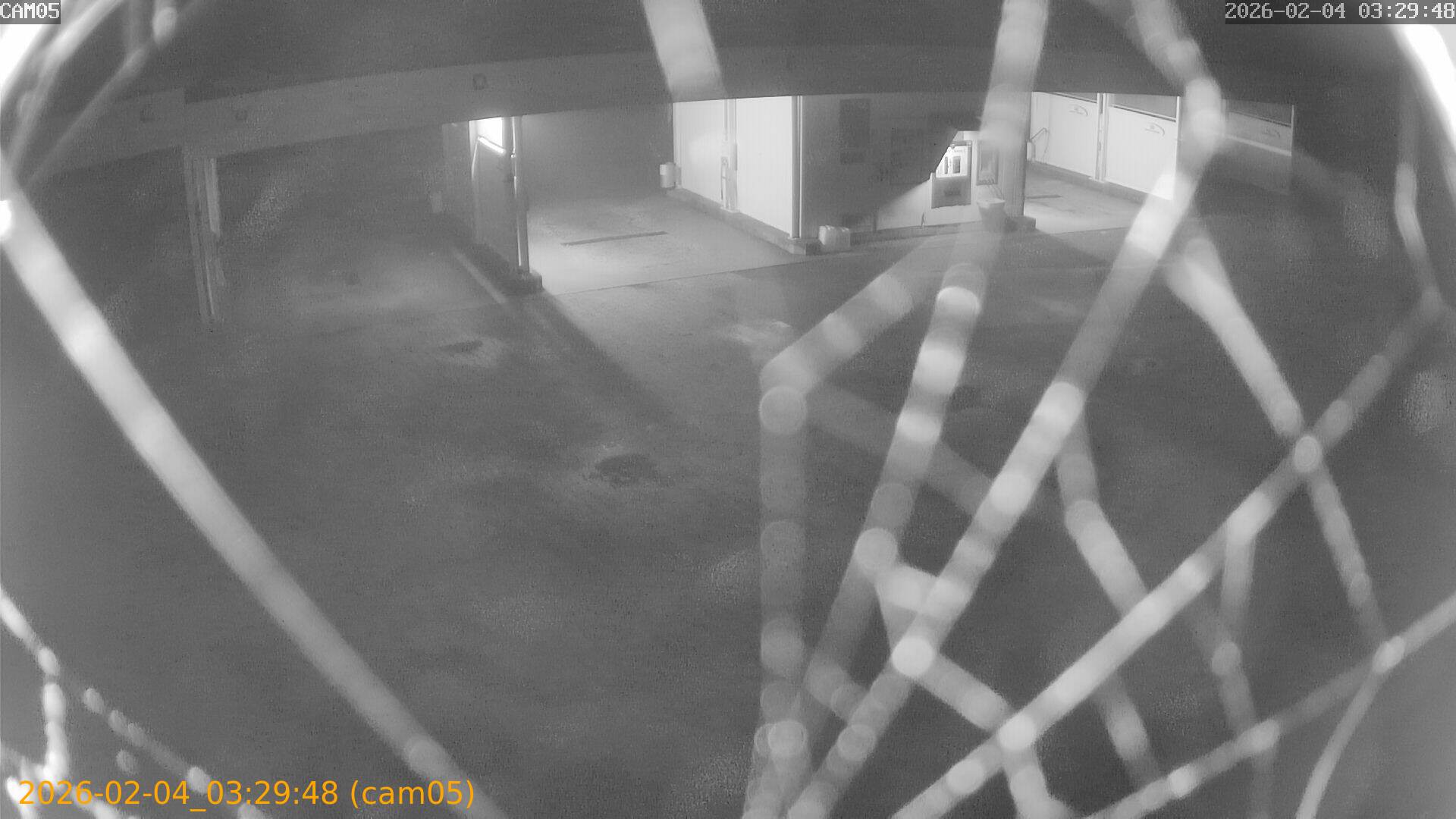 thumbnail_20260204032948