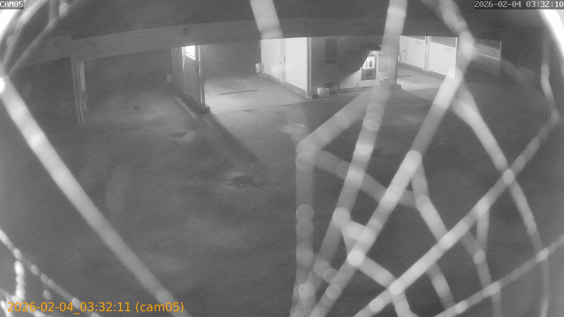 thumbnail_20260204033211