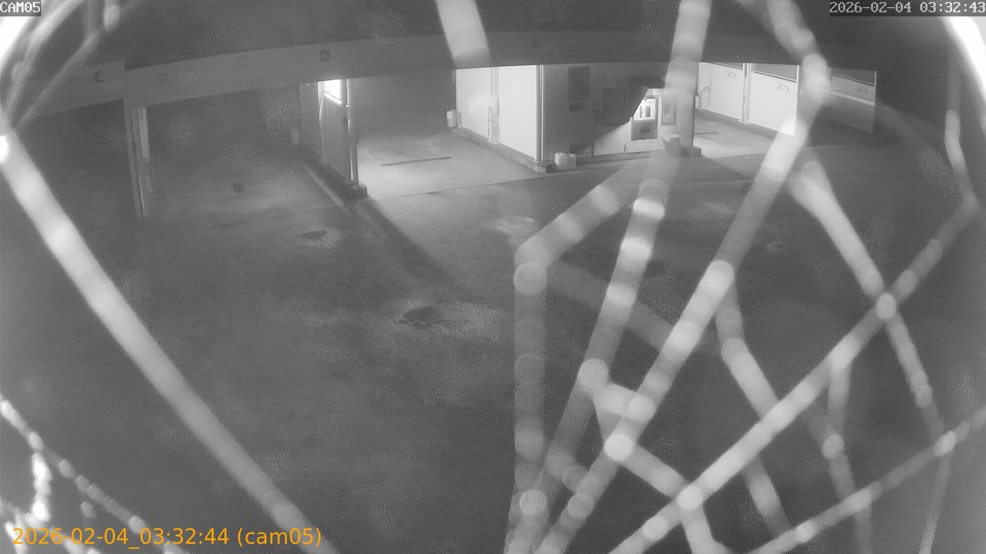 thumbnail_20260204033244