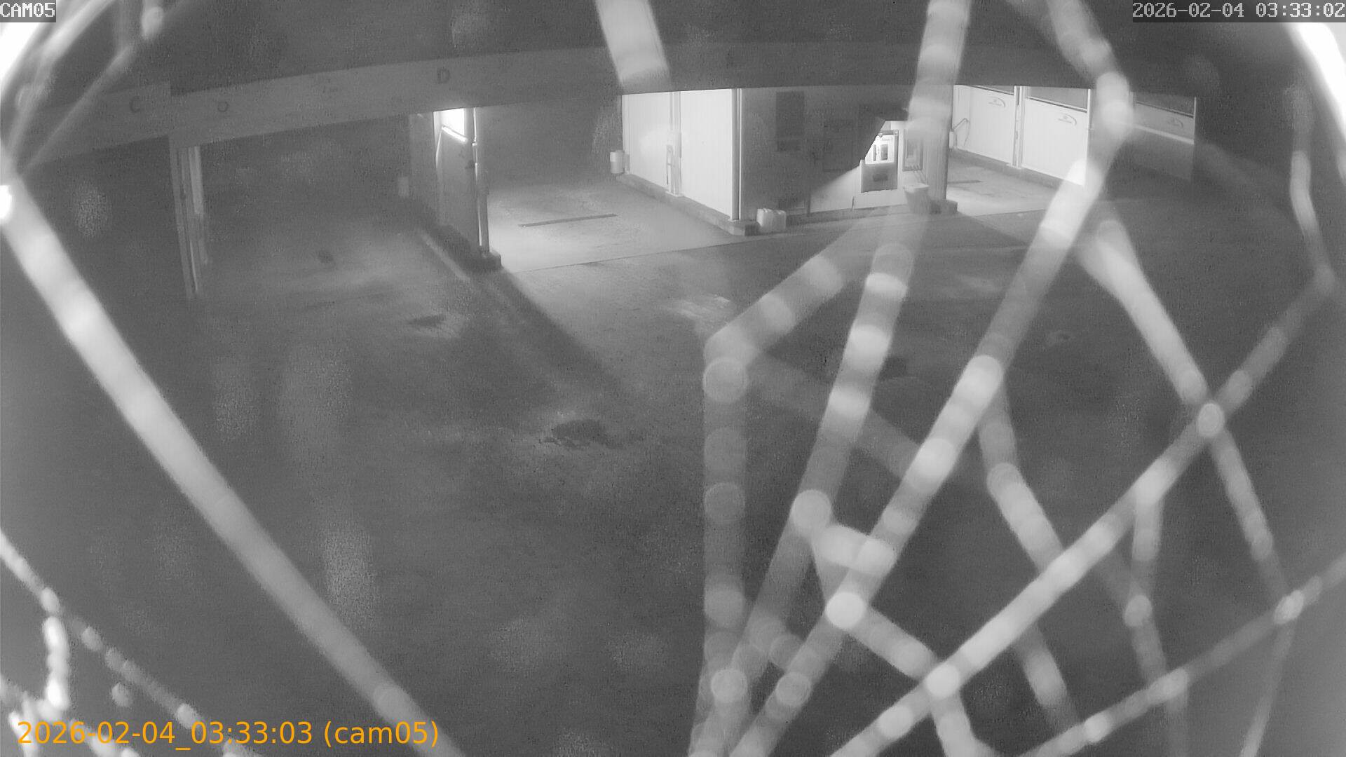 thumbnail_20260204033303