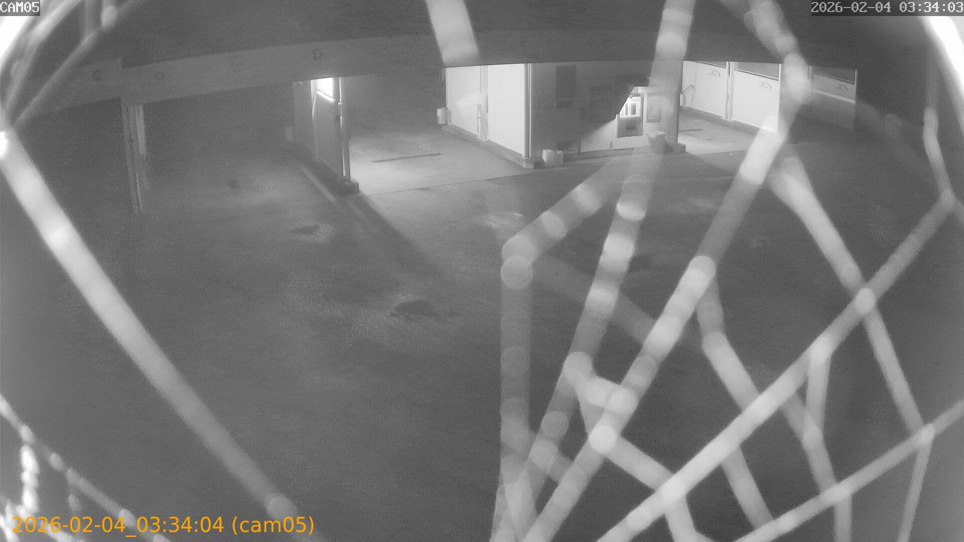 thumbnail_20260204033404