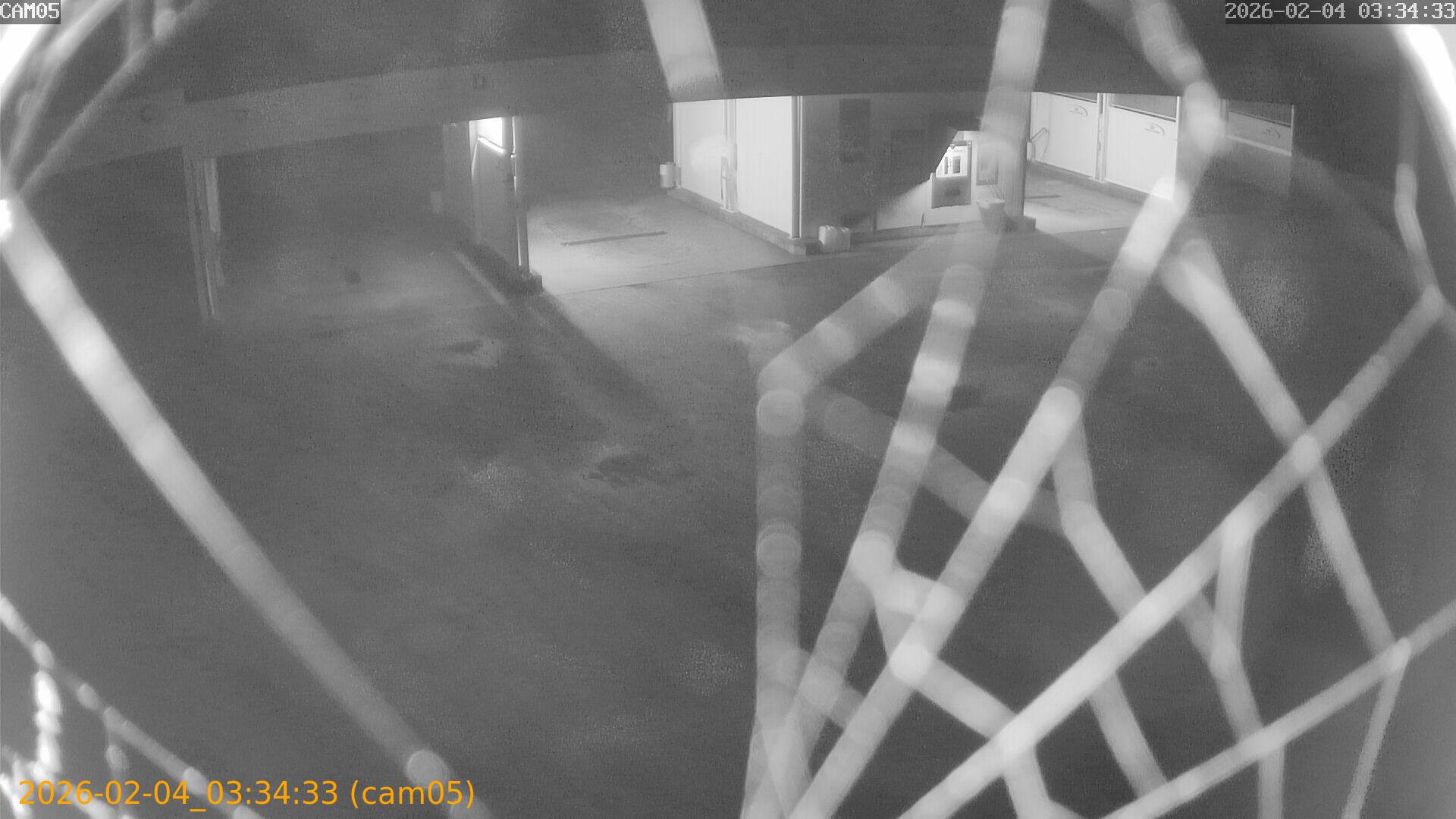 thumbnail_20260204033433