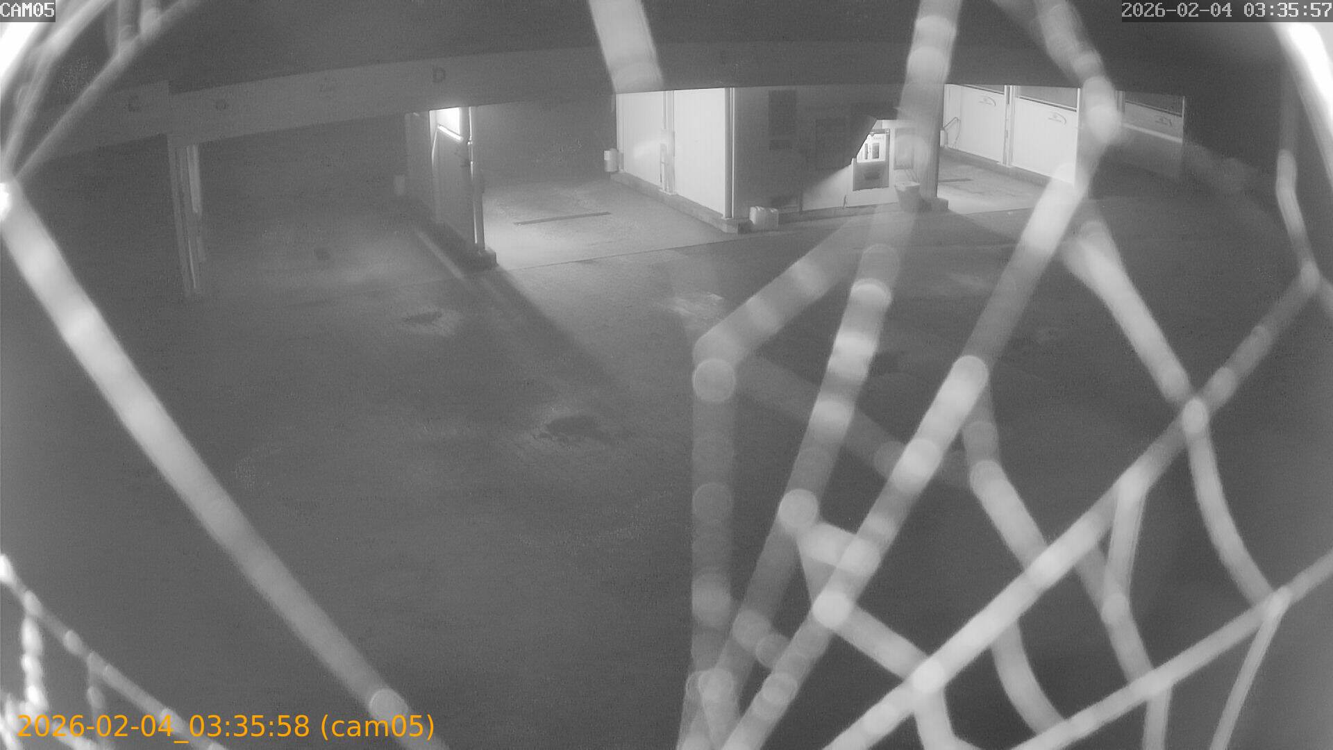 thumbnail_20260204033558