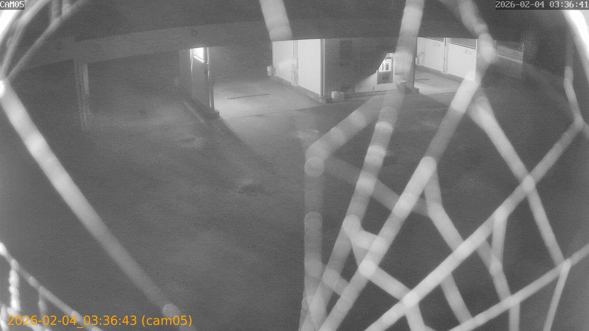 thumbnail_20260204033643