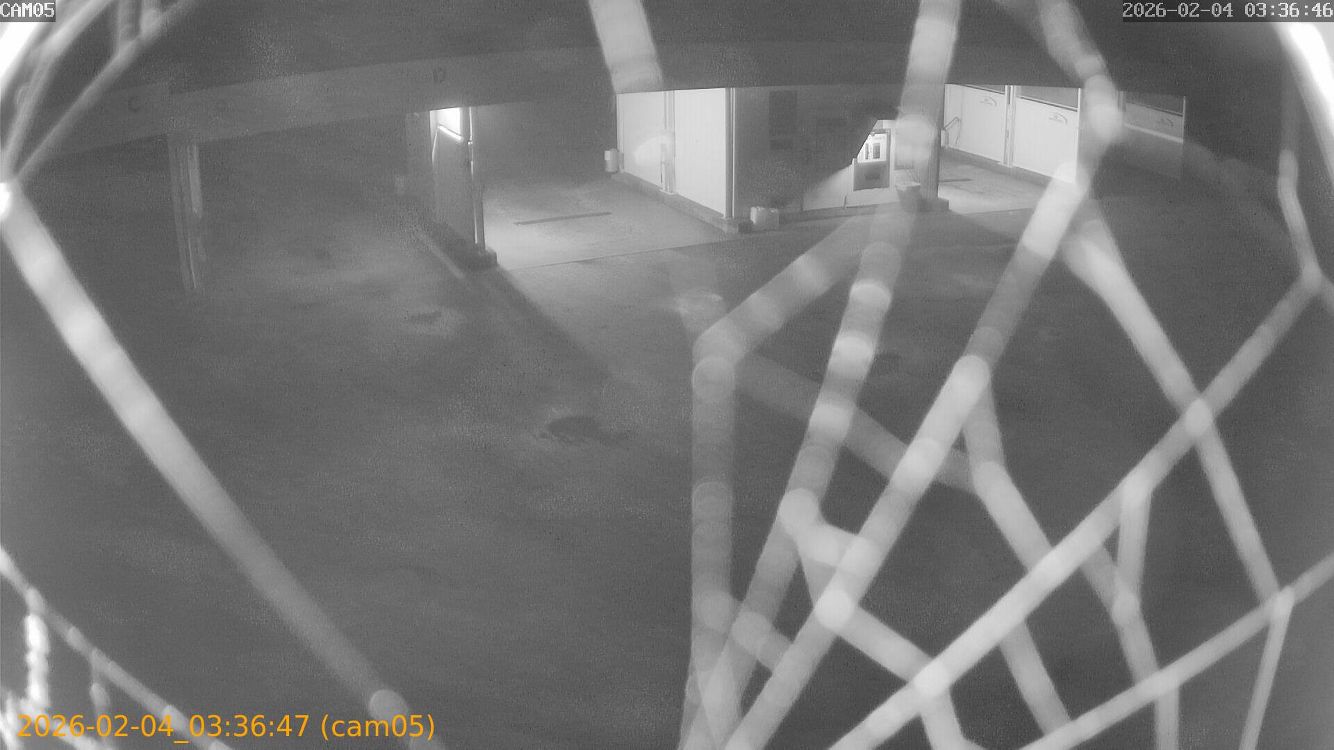 thumbnail_20260204033647