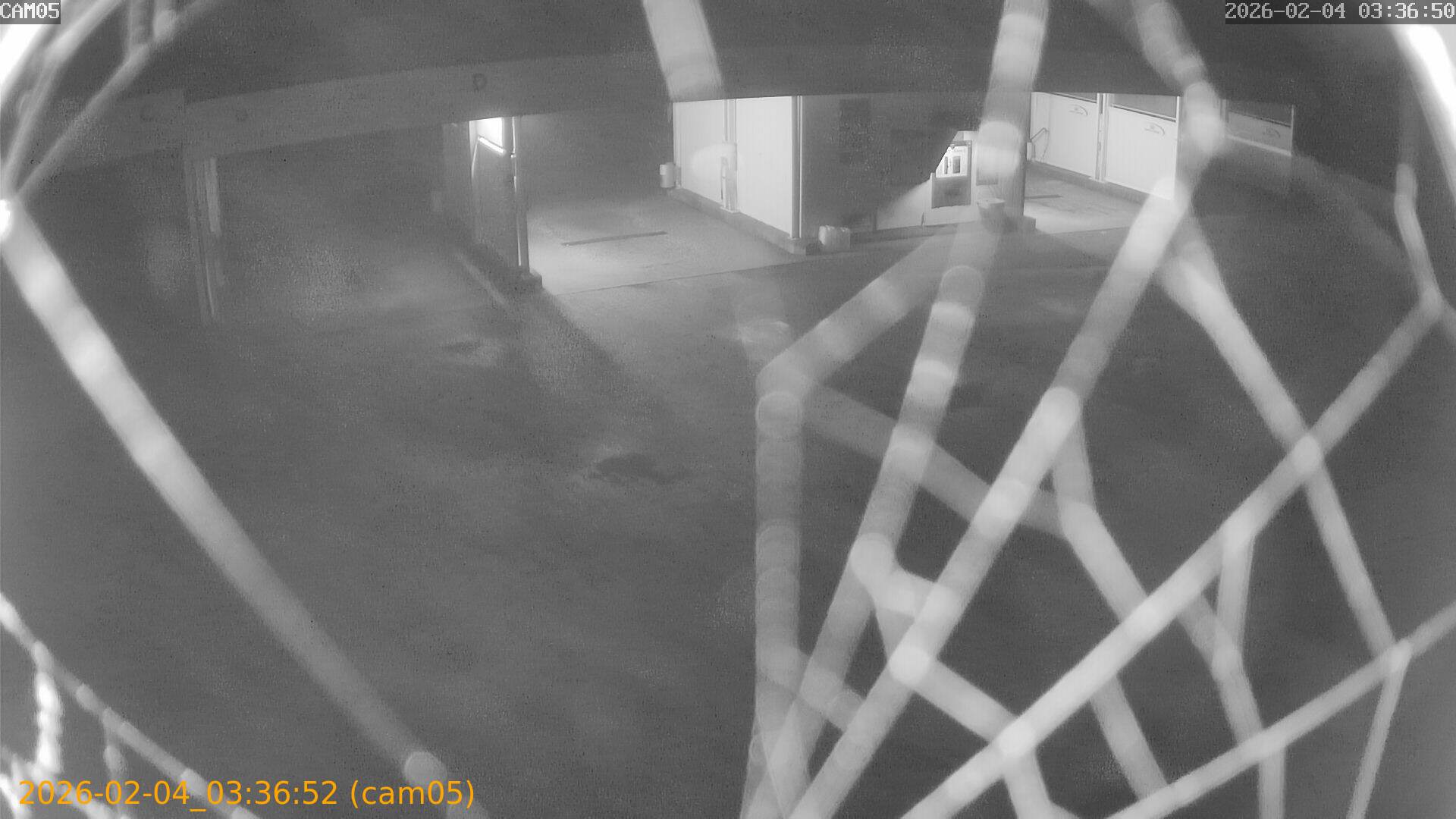 thumbnail_20260204033652