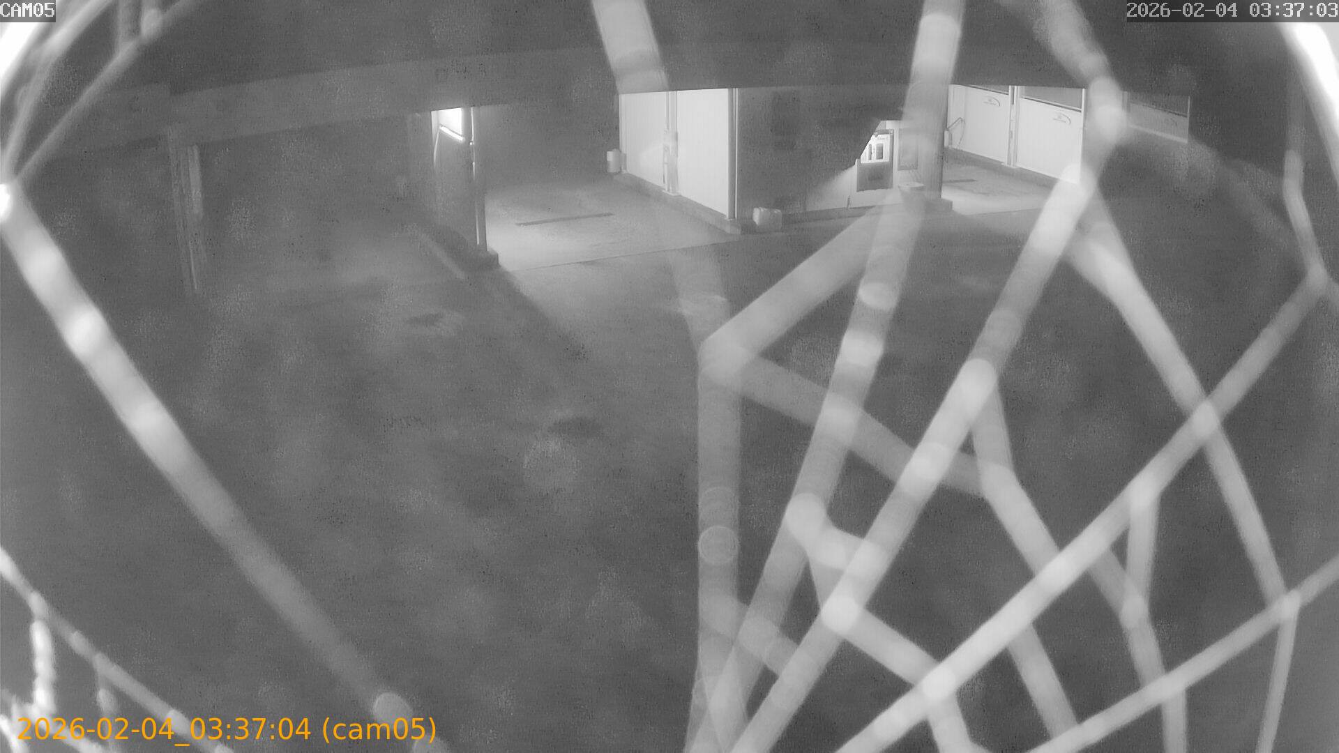 thumbnail_20260204033704