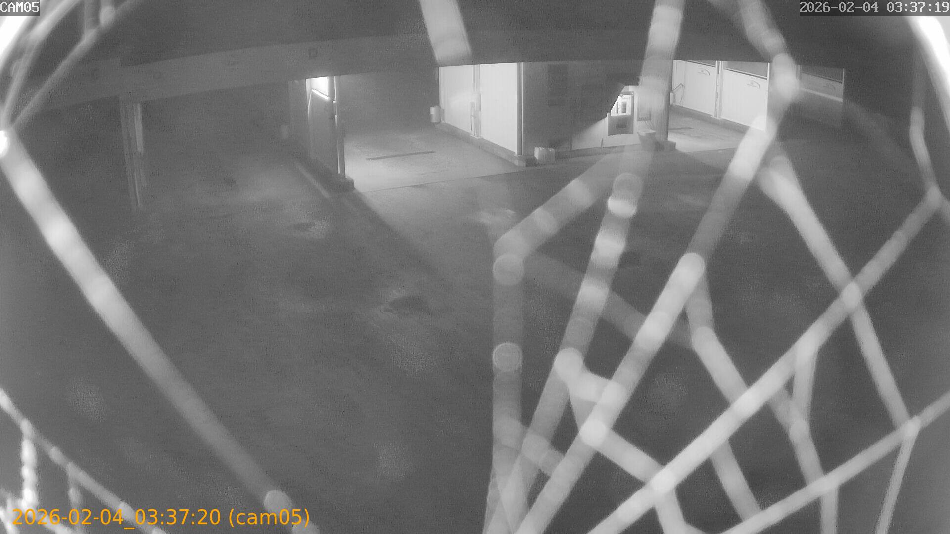 thumbnail_20260204033720