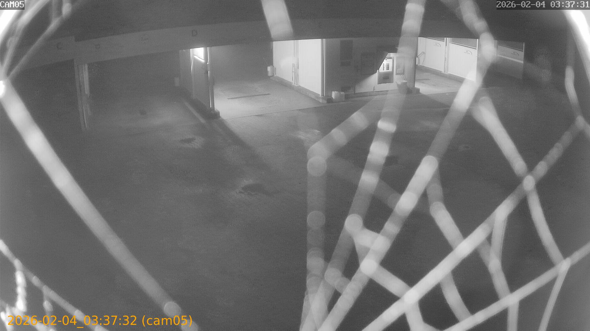 thumbnail_20260204033732