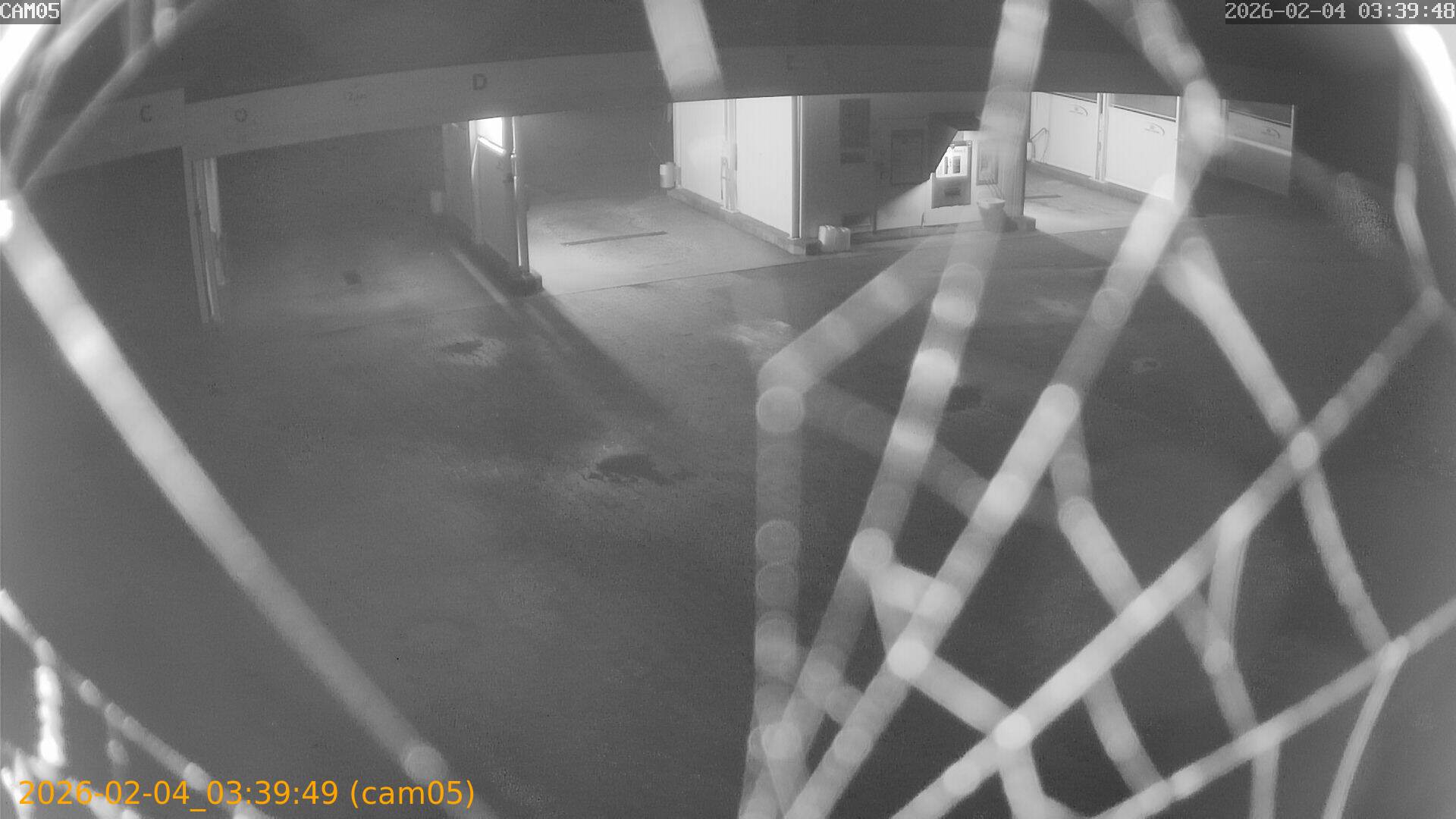 thumbnail_20260204033949