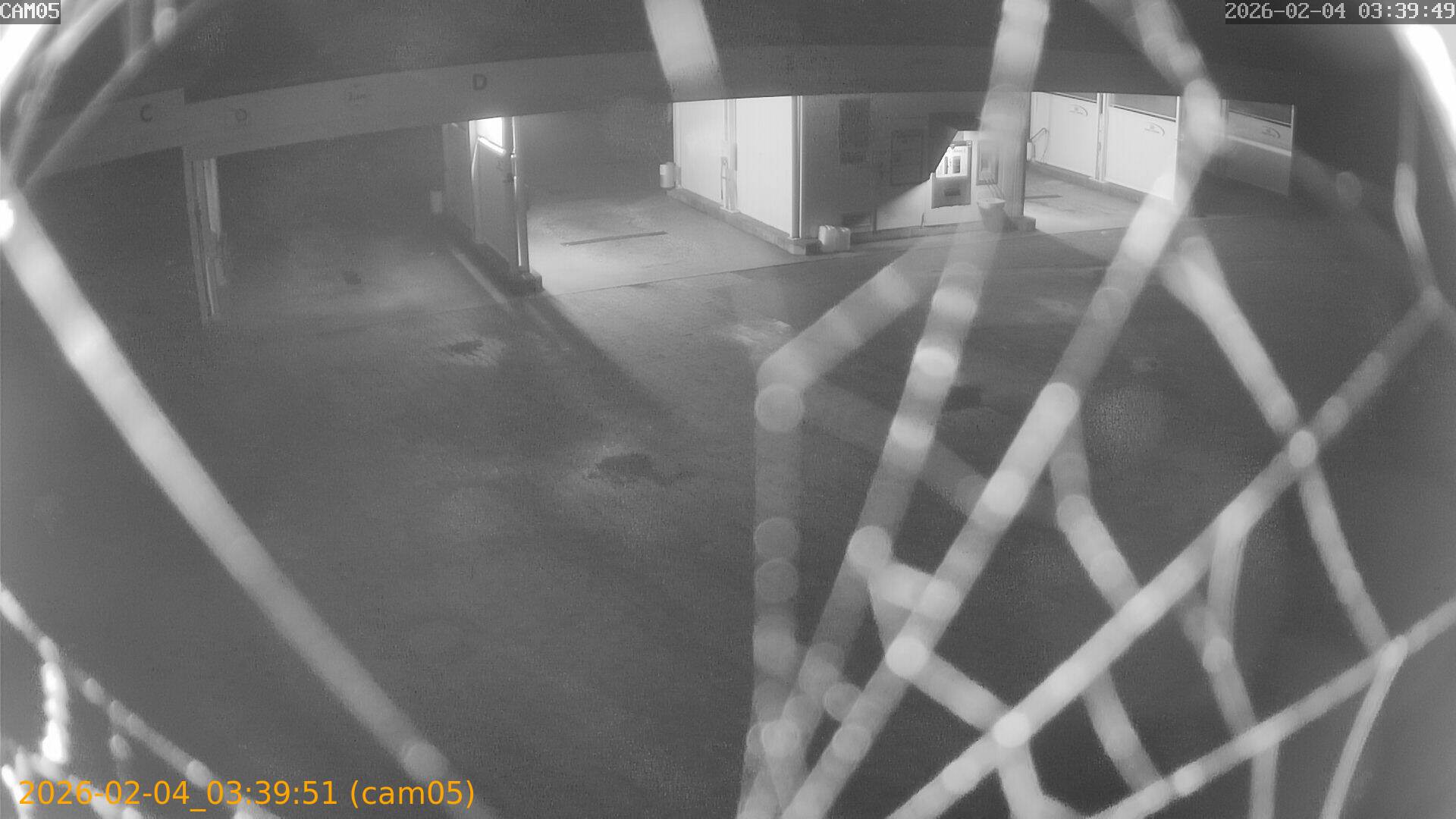 thumbnail_20260204033951