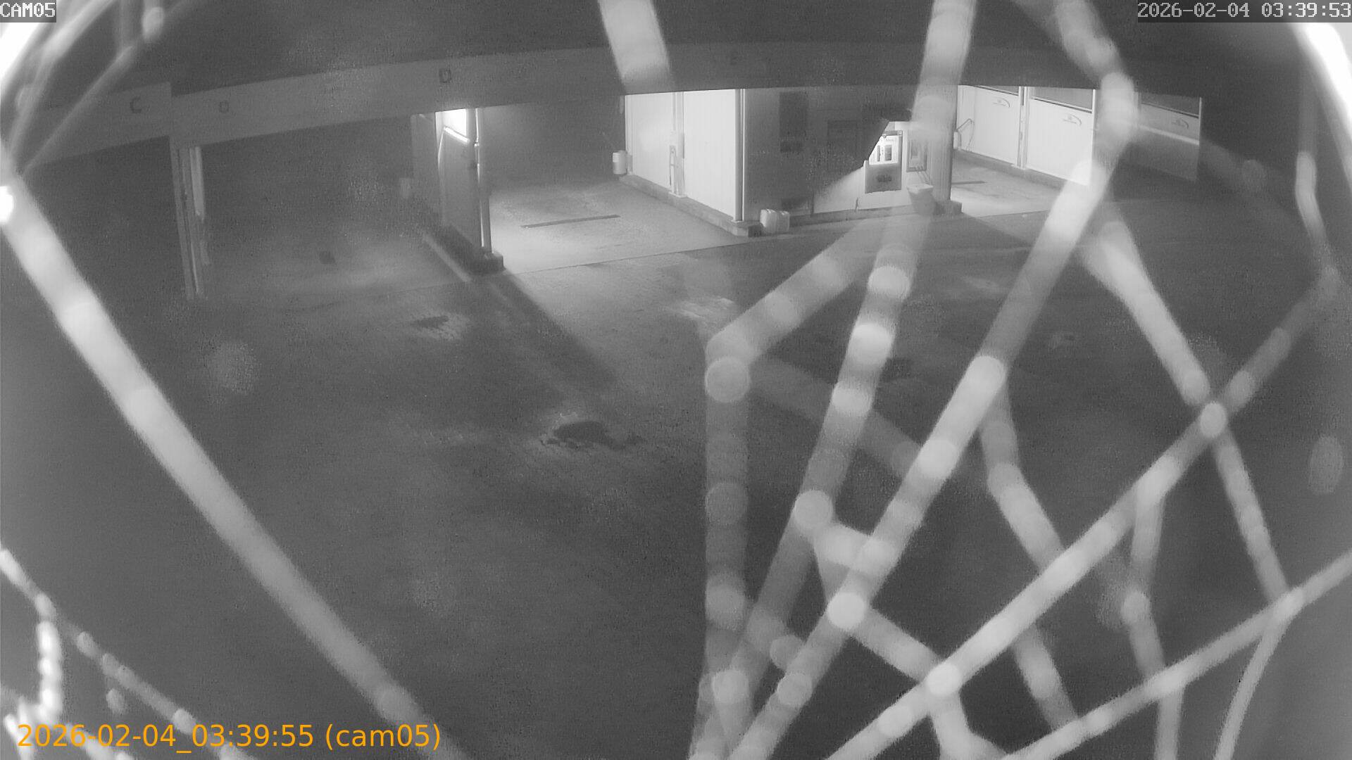 thumbnail_20260204033955