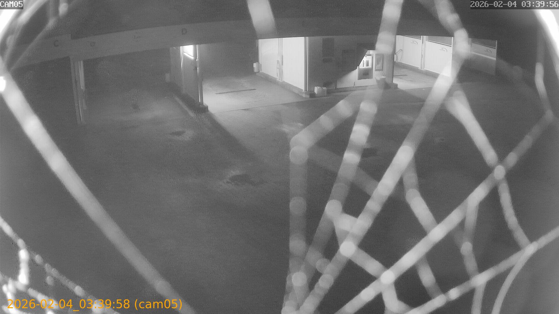 thumbnail_20260204033958