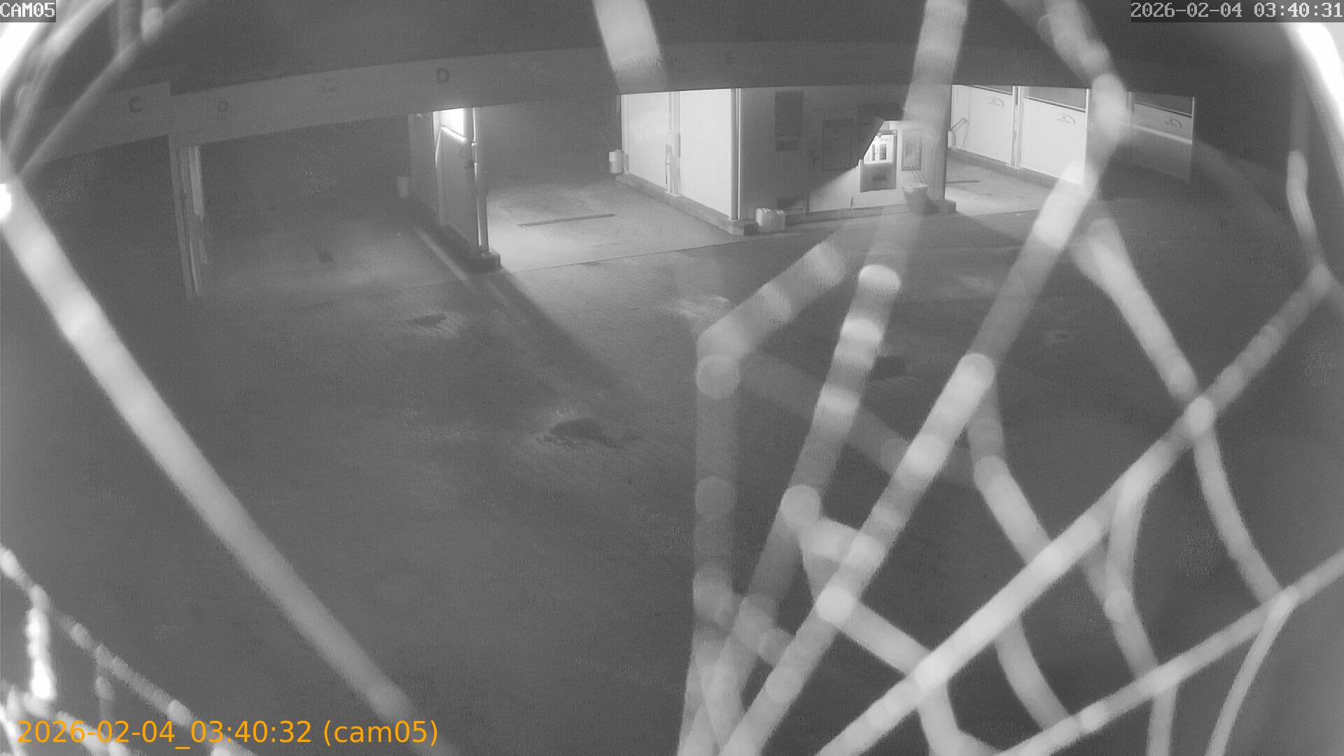 thumbnail_20260204034032