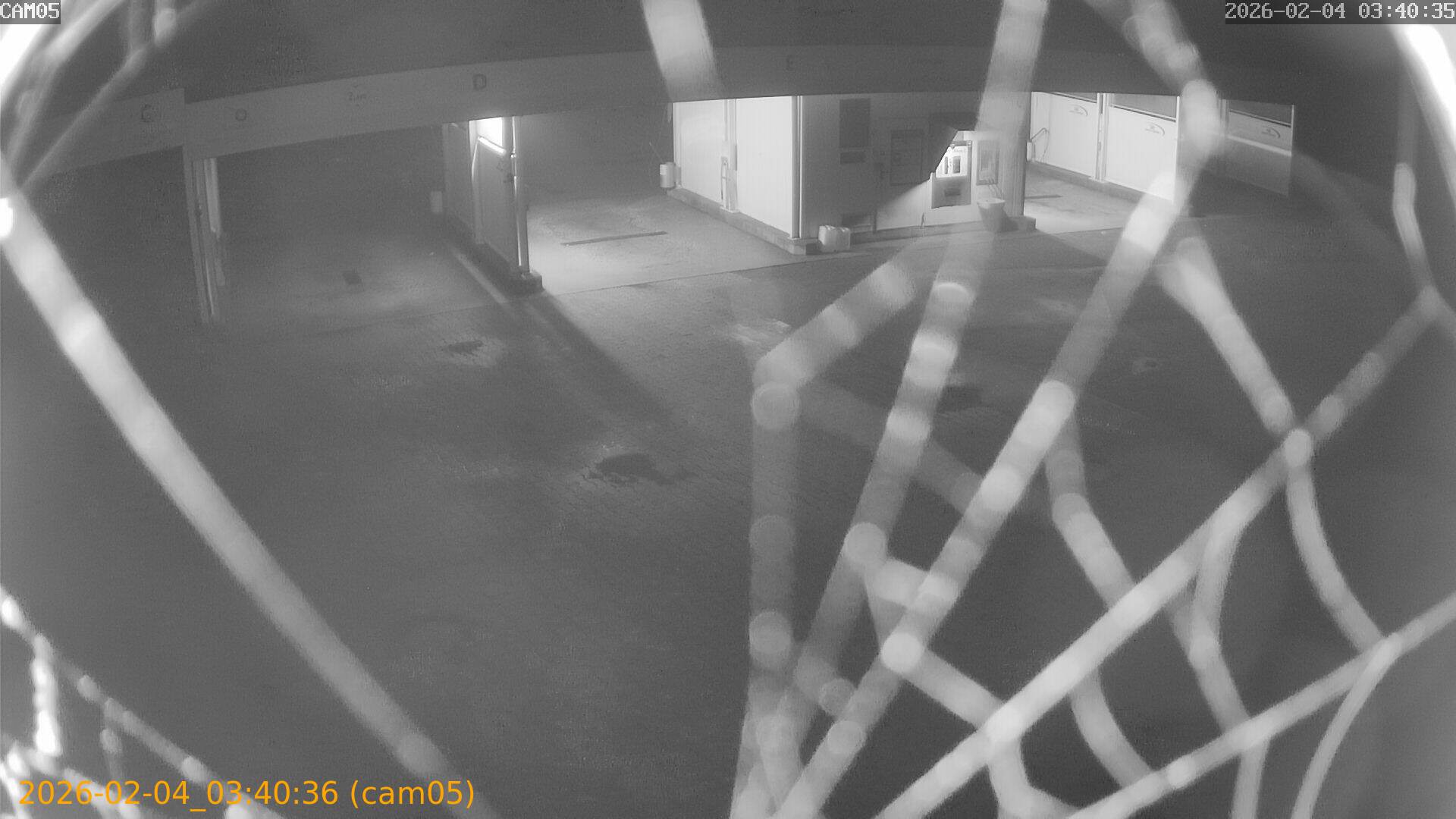 thumbnail_20260204034036