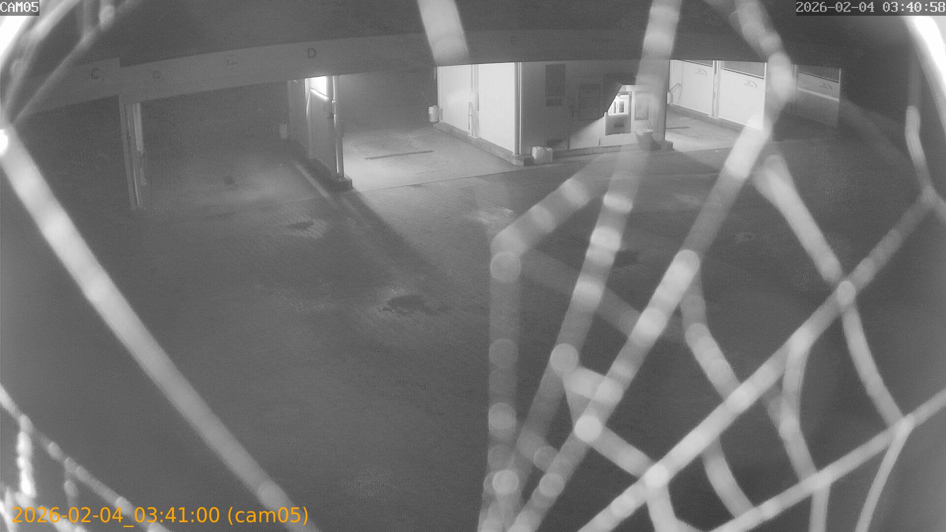 thumbnail_20260204034100