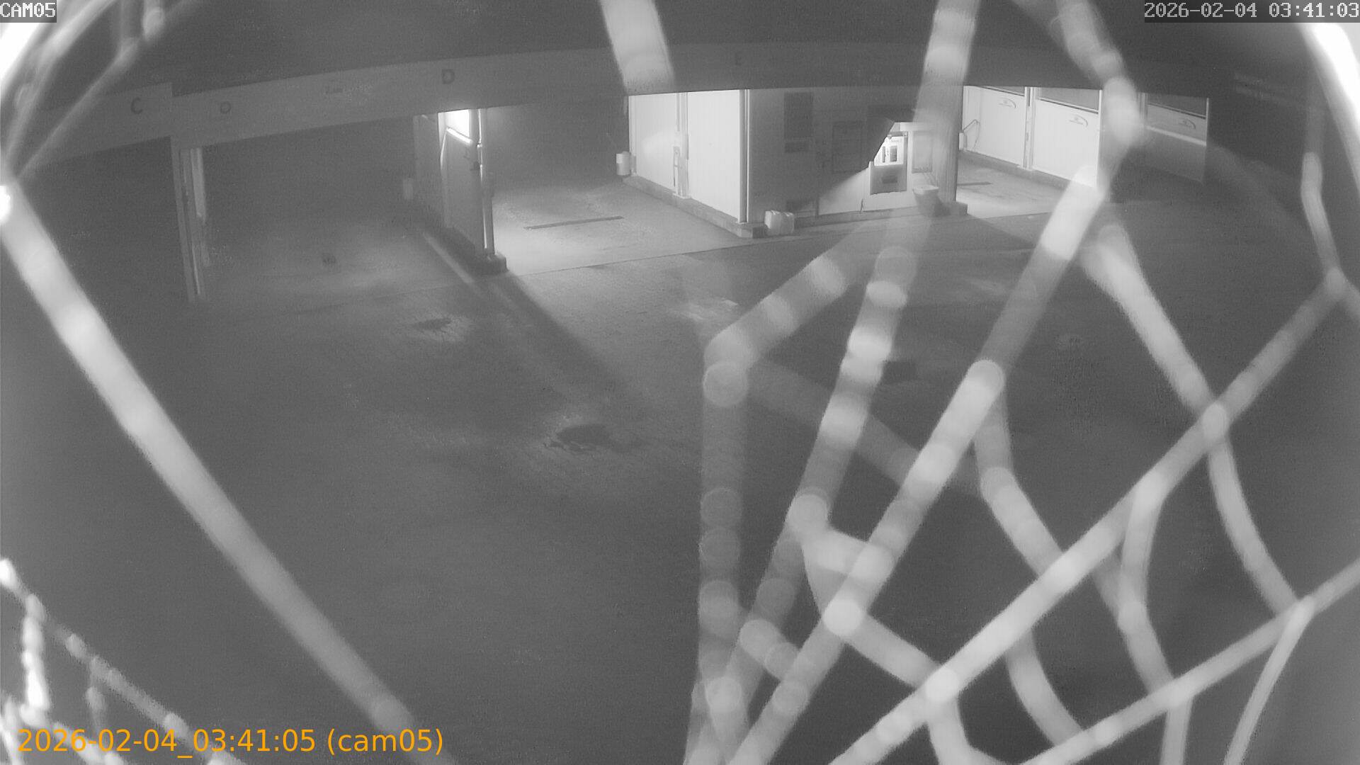 thumbnail_20260204034105