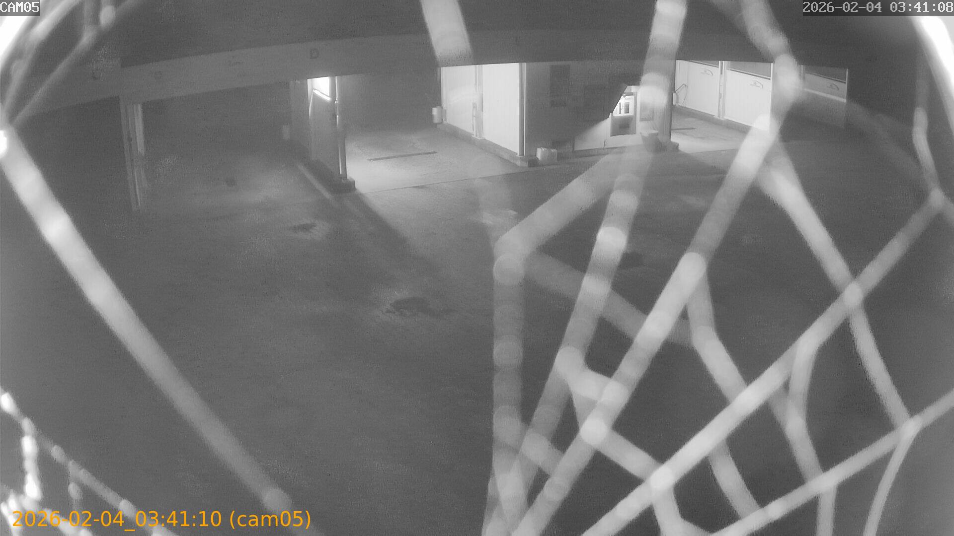 thumbnail_20260204034110