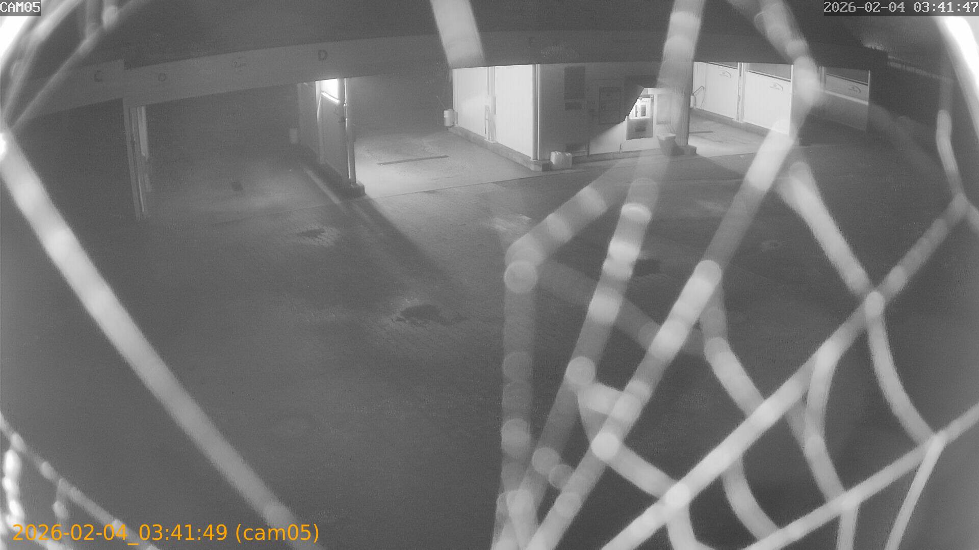 thumbnail_20260204034149