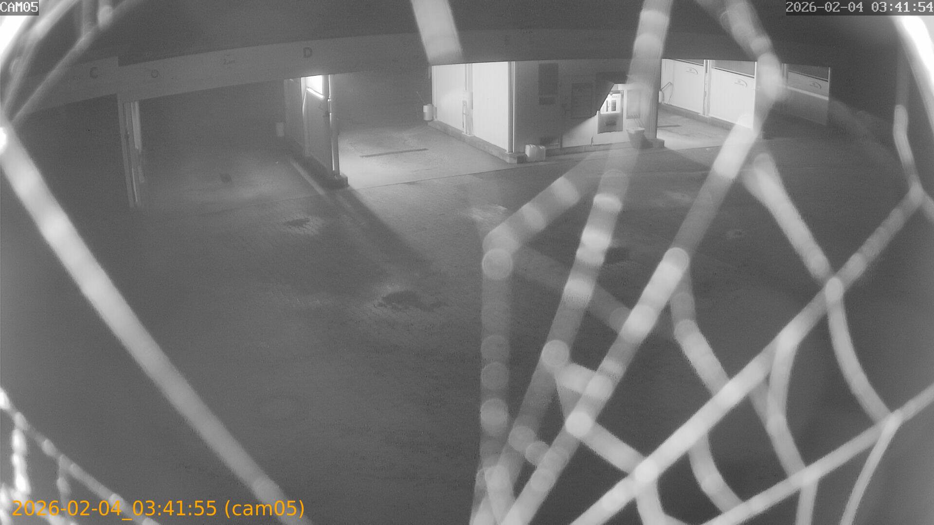 thumbnail_20260204034155