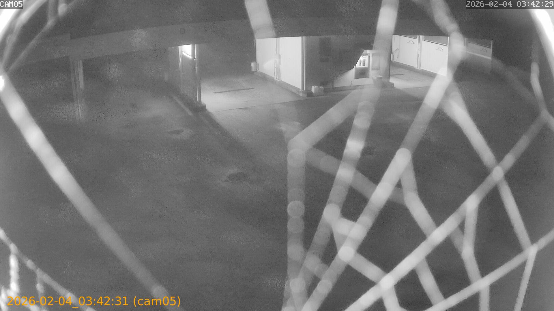 thumbnail_20260204034231