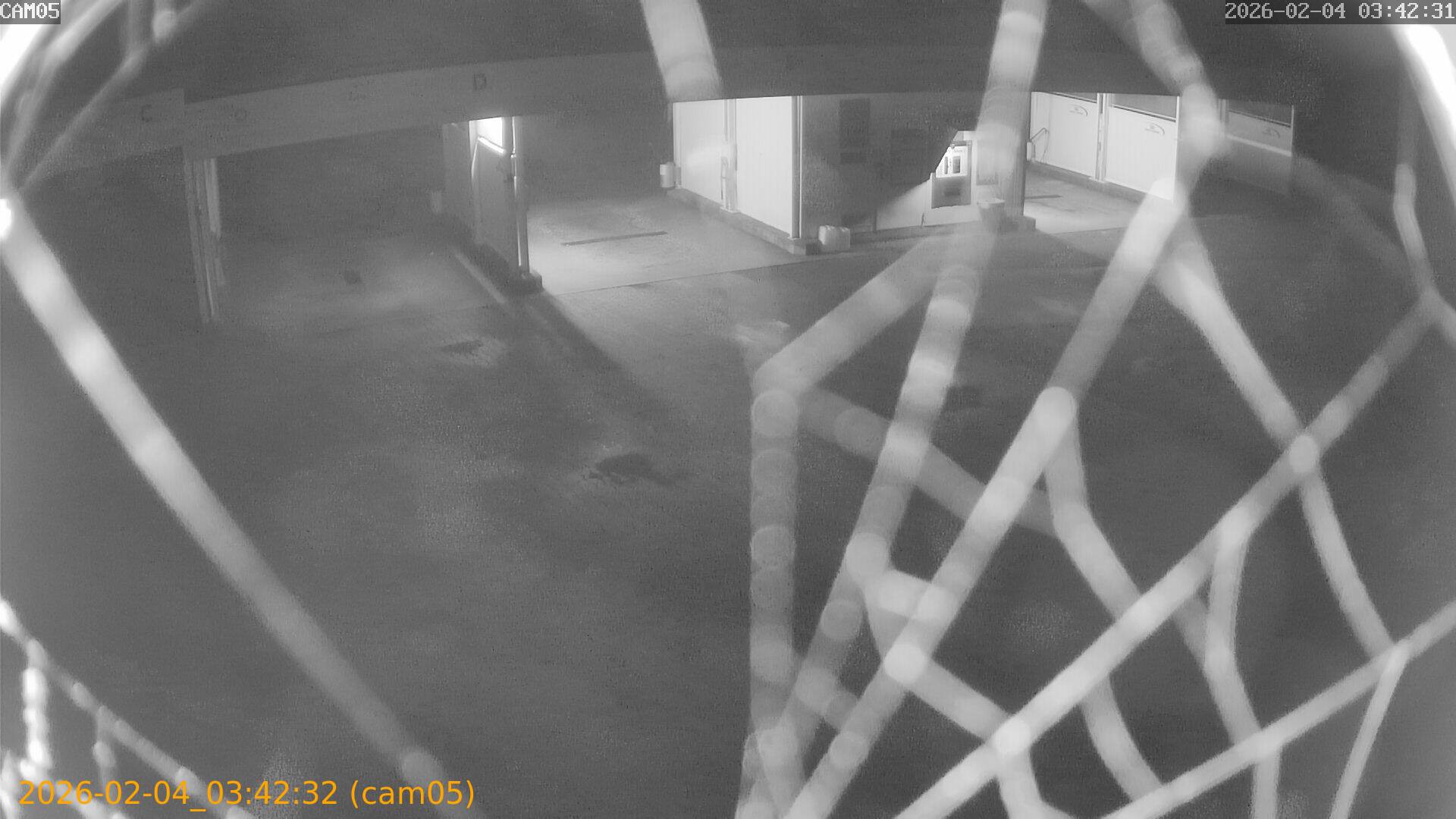 thumbnail_20260204034232