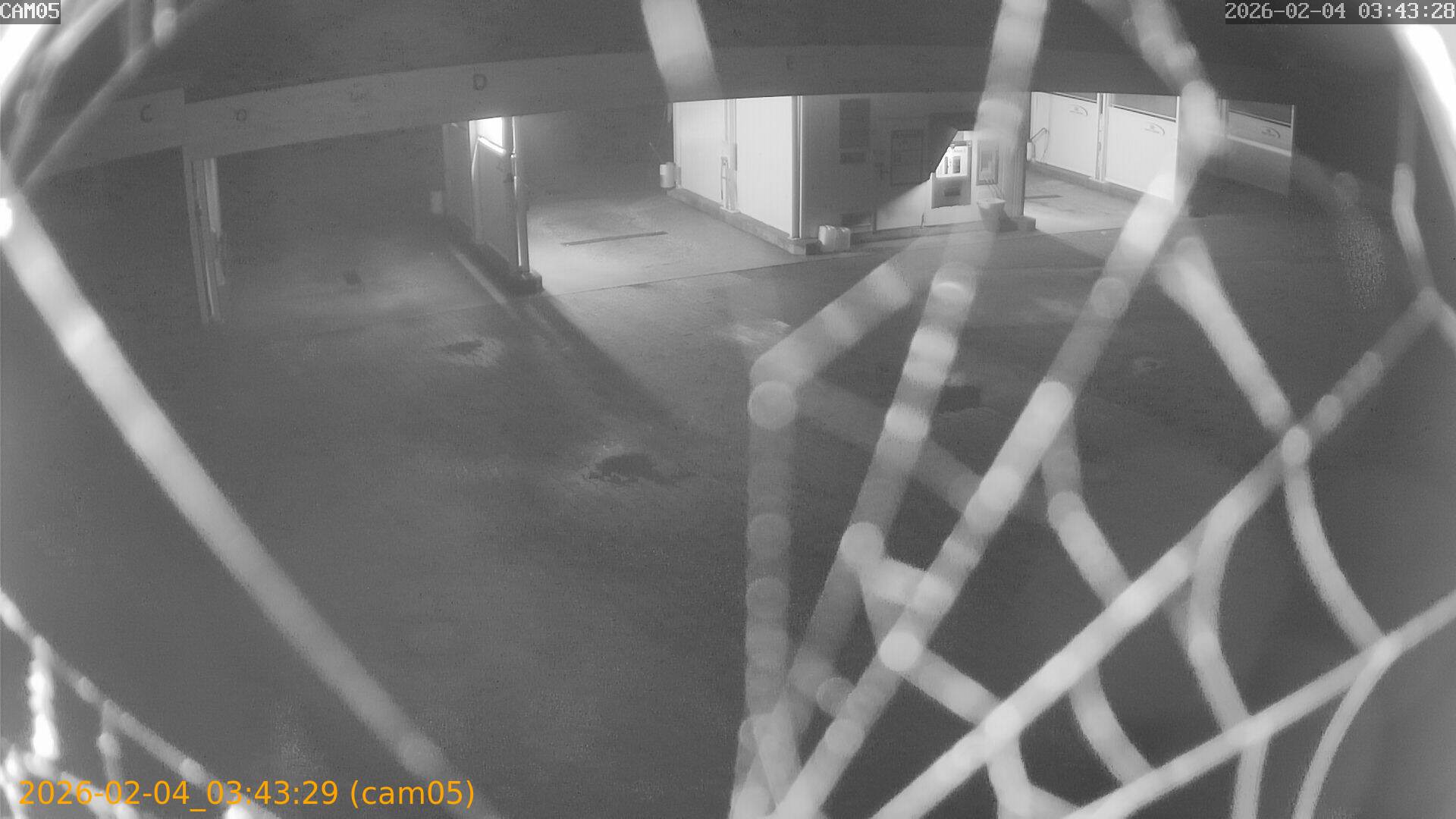 thumbnail_20260204034329