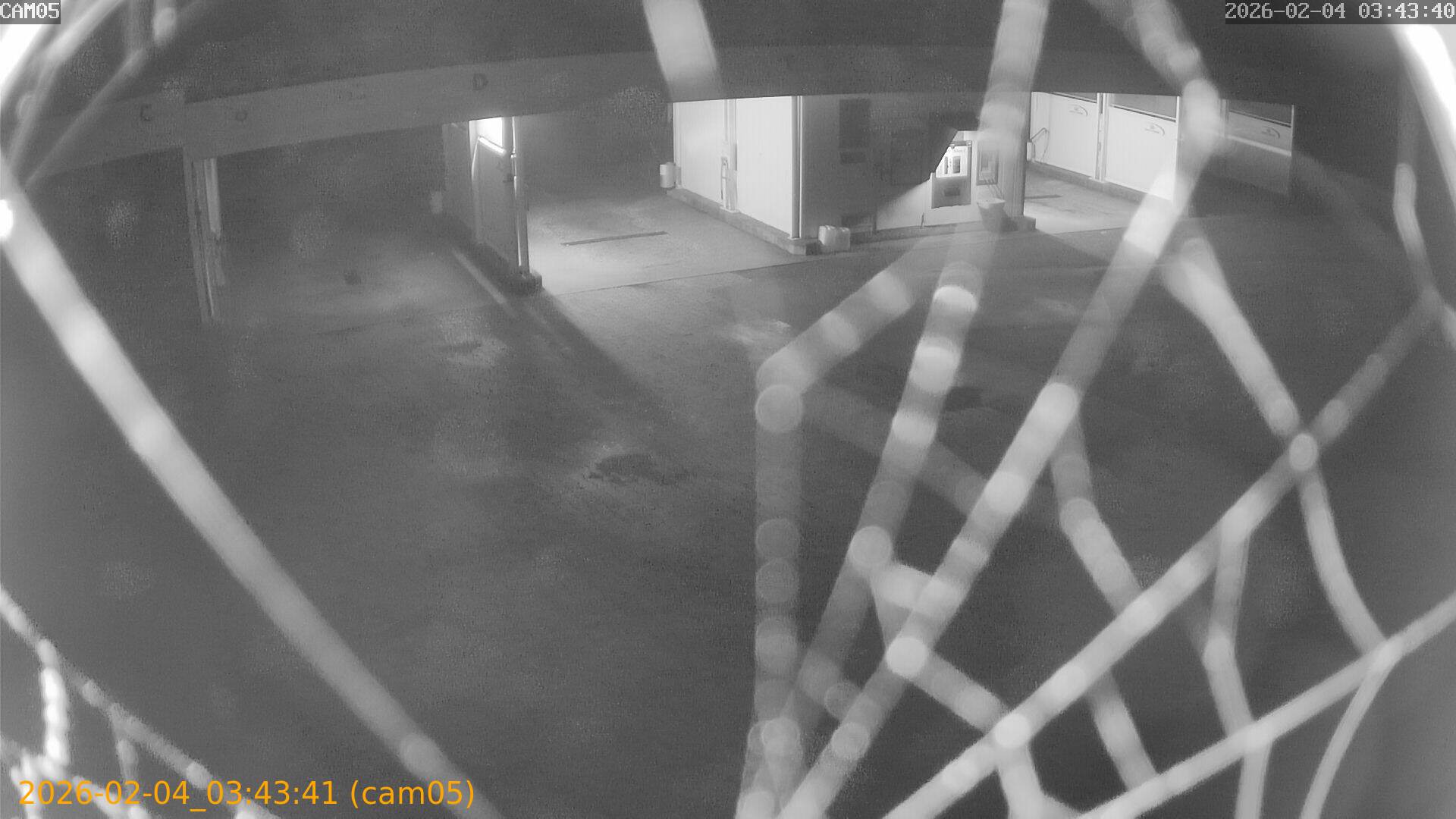 thumbnail_20260204034341