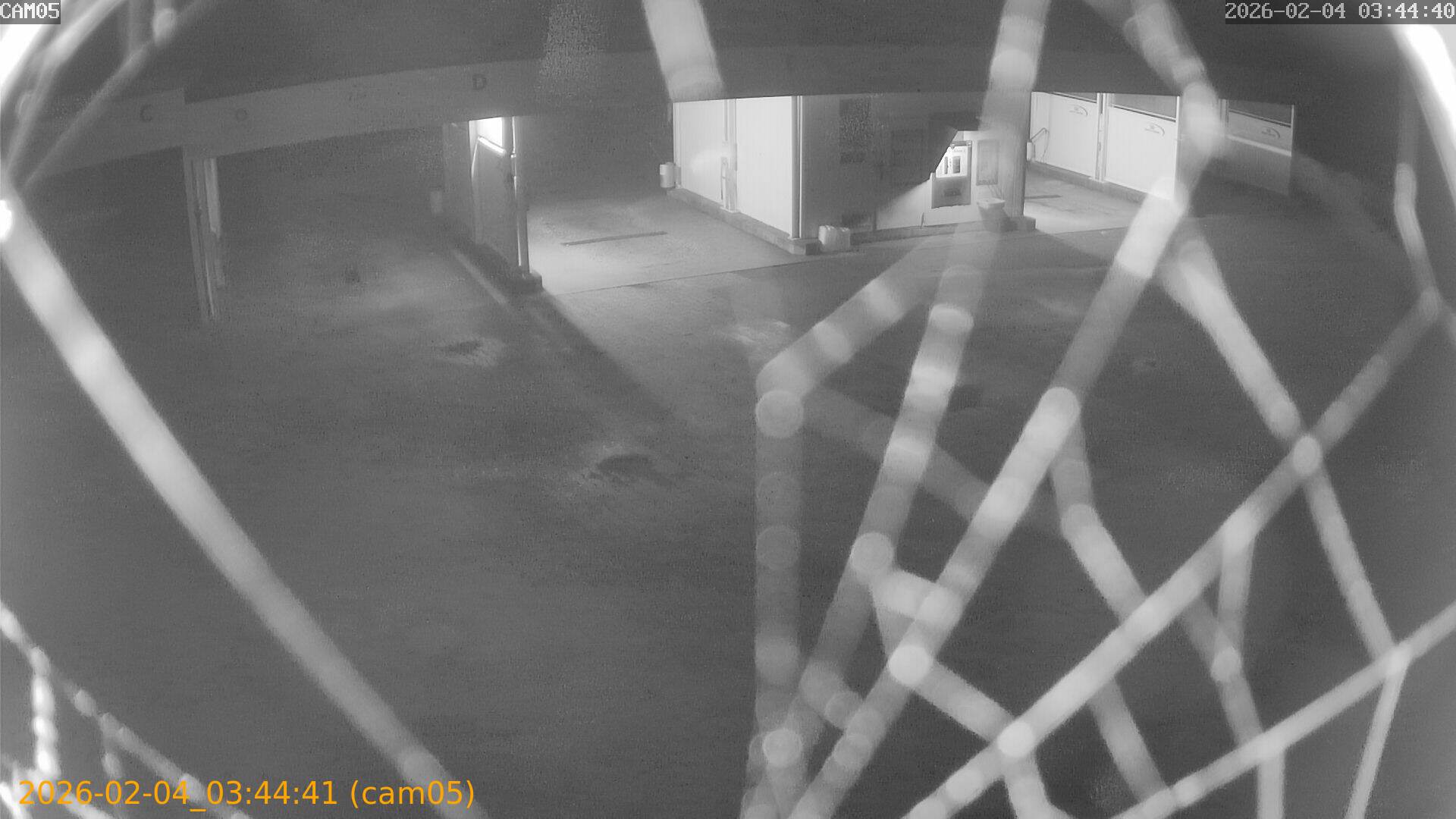 thumbnail_20260204034441