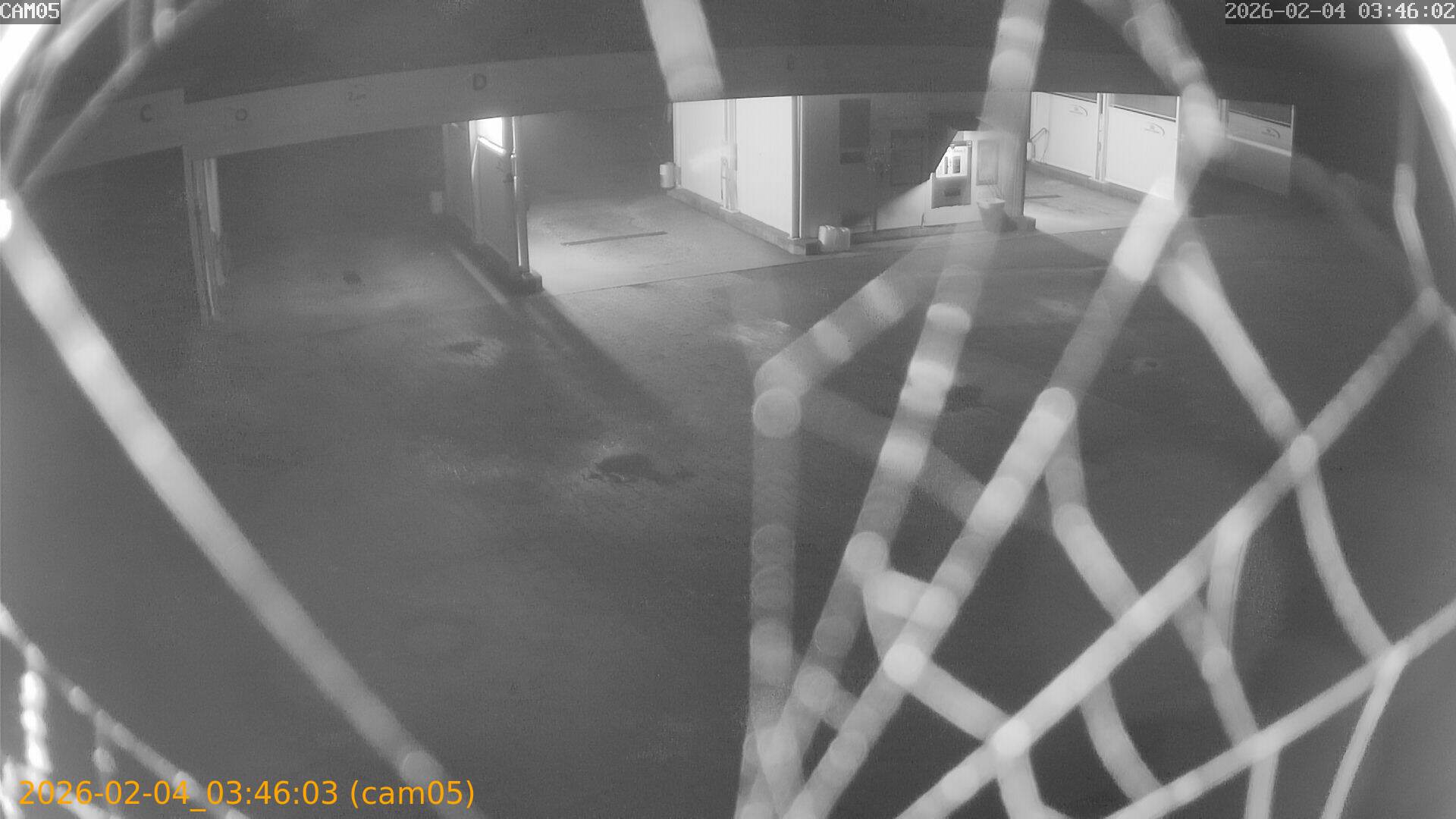 thumbnail_20260204034603