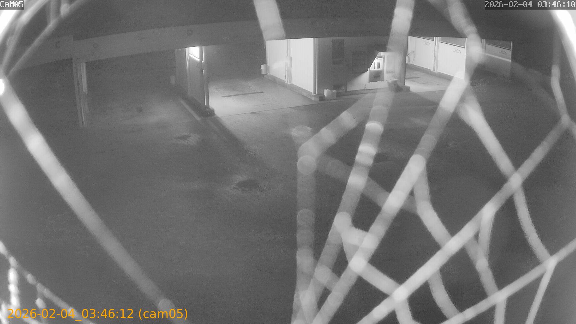 thumbnail_20260204034612