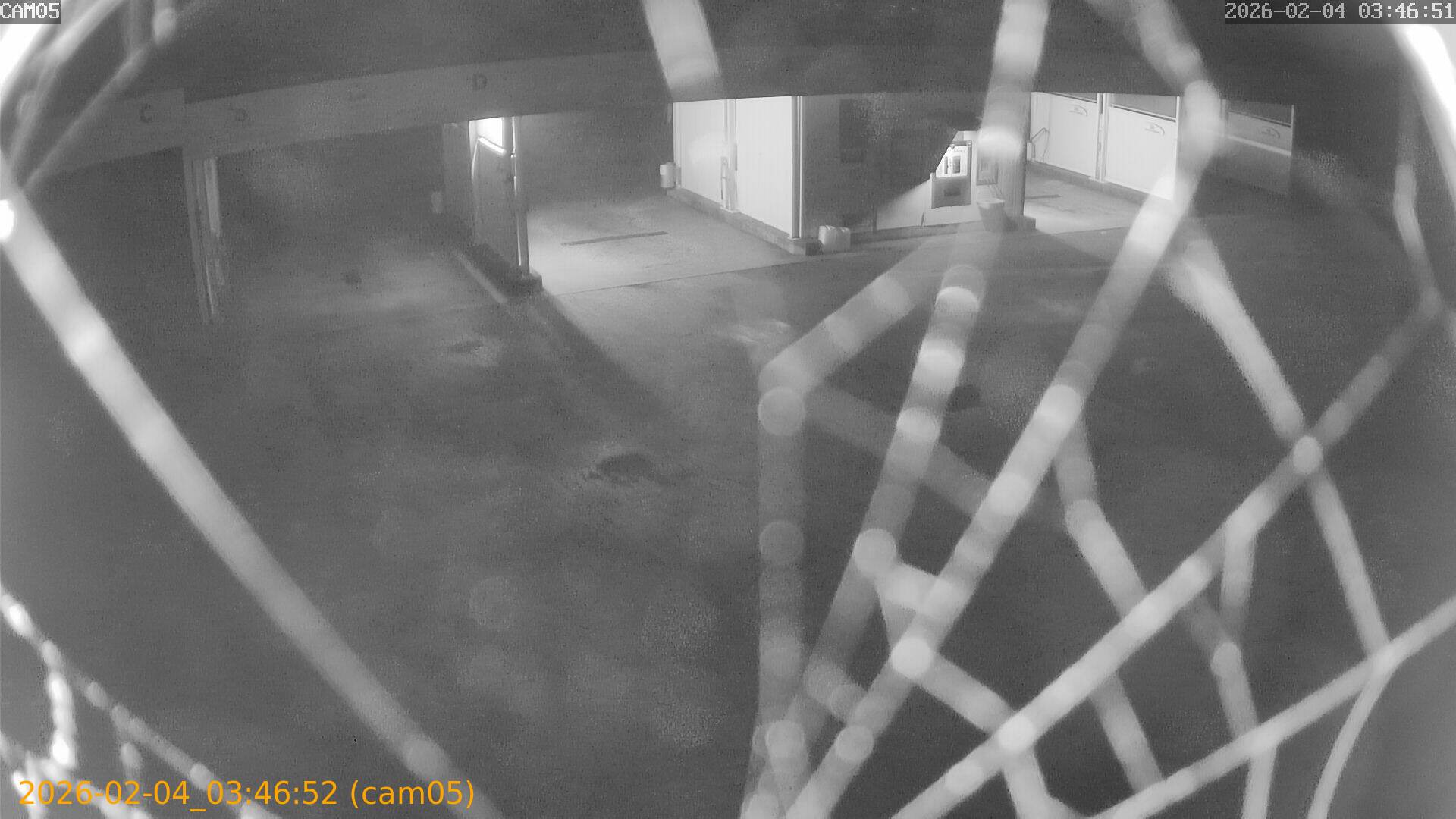 thumbnail_20260204034652