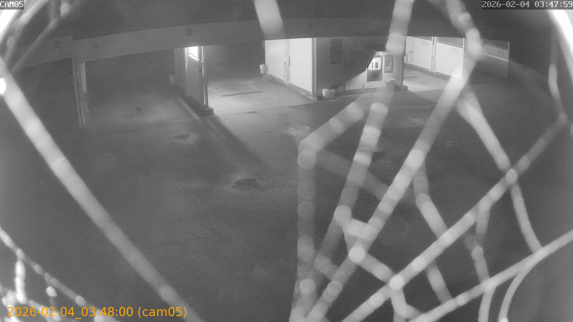 thumbnail_20260204034800